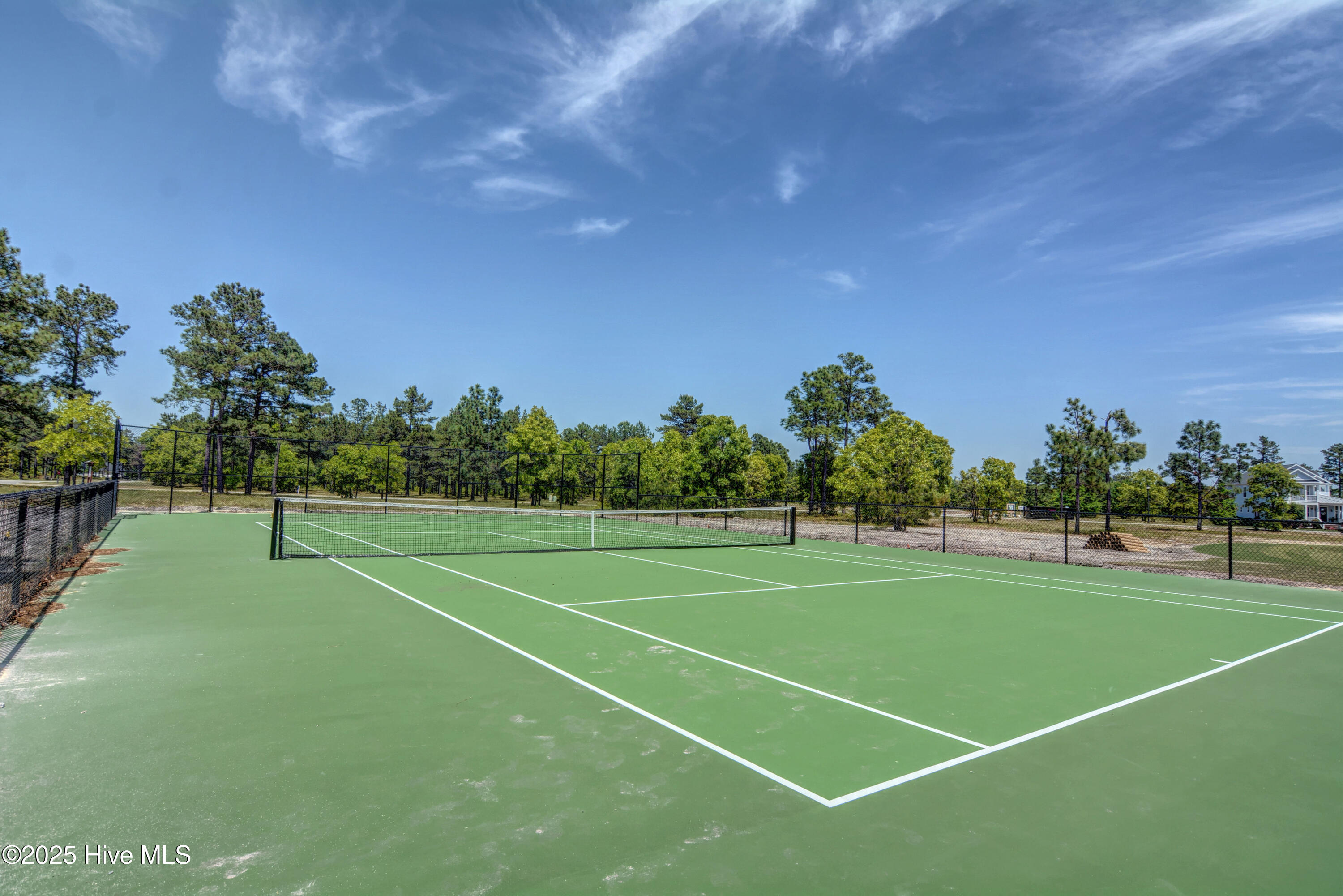 100531256 | Photo 54