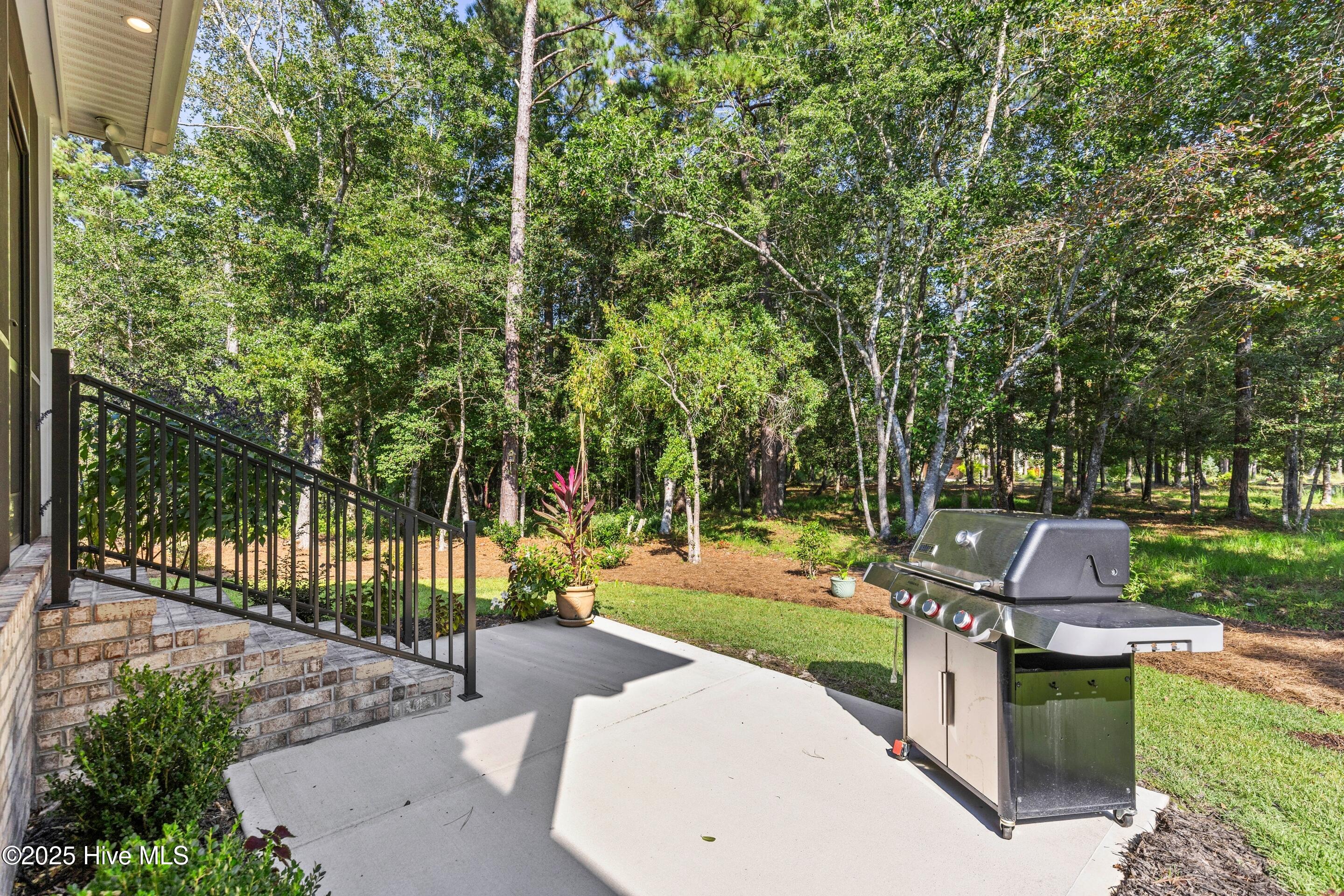 100558361 | Photo 53