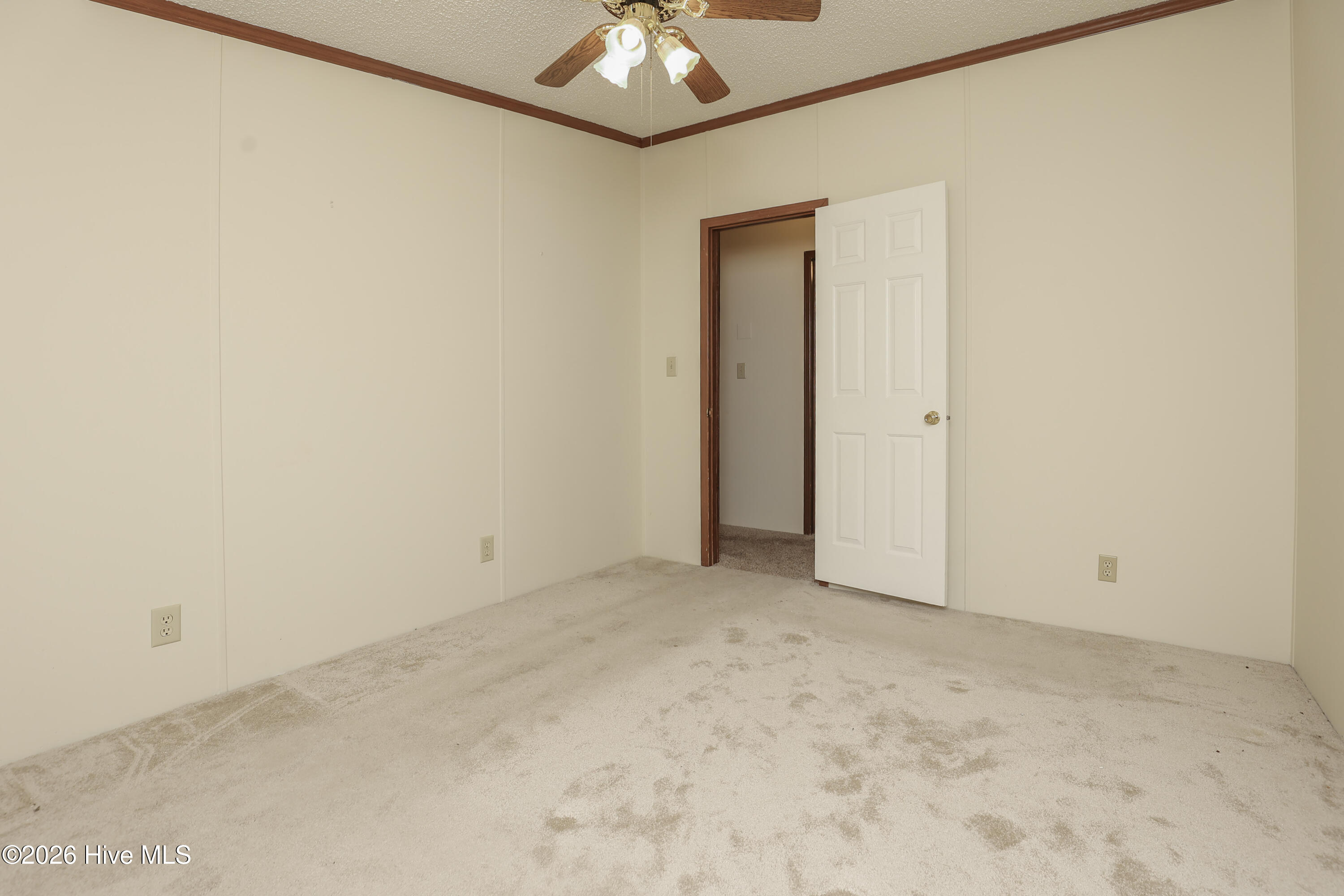 100548874 | Photo 39