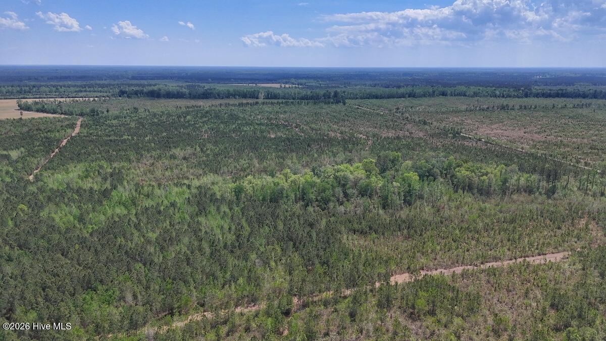 0 Guinea Mill Road, Ernul, NC, 28527