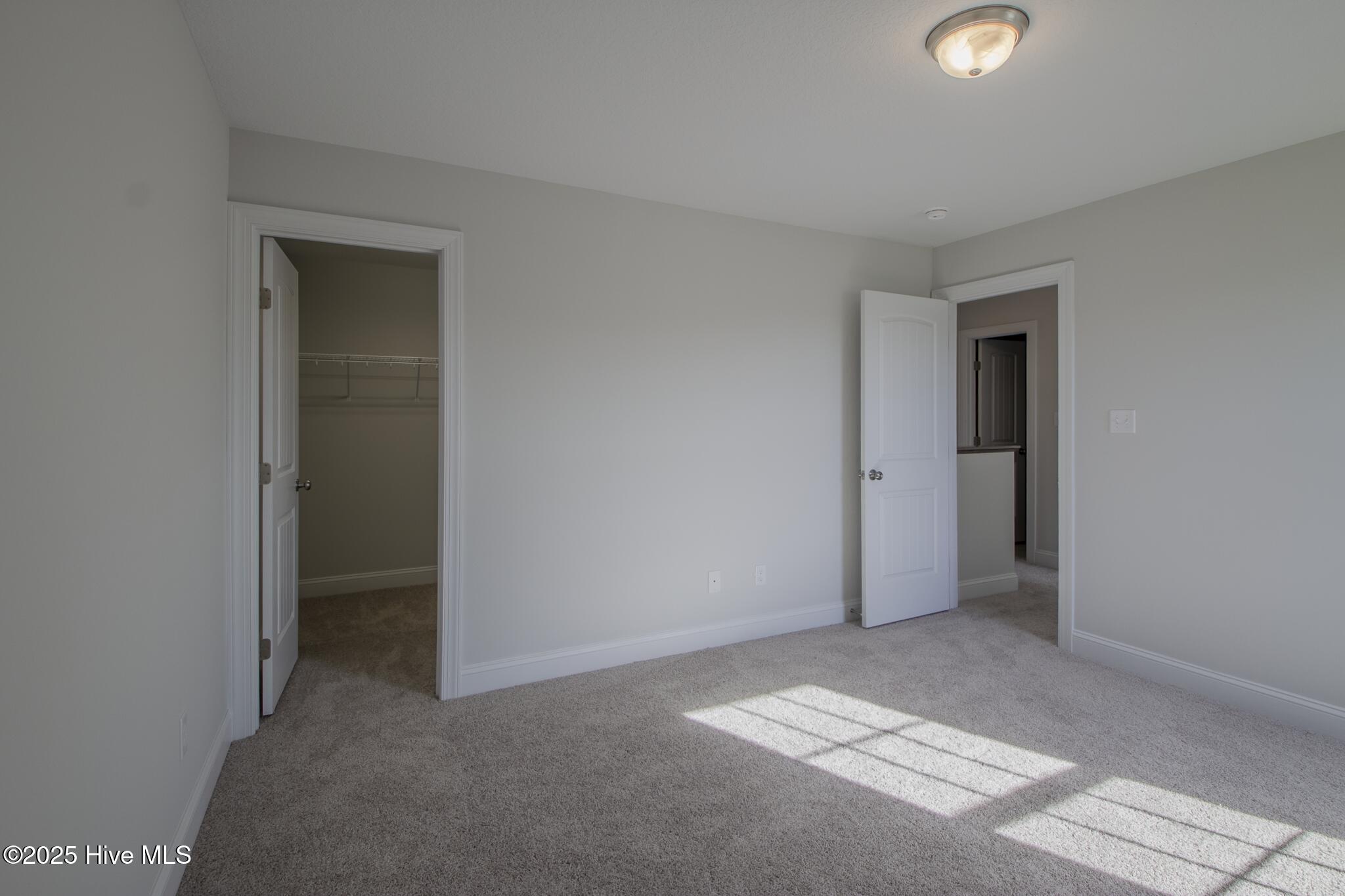 100505721 | Photo 23