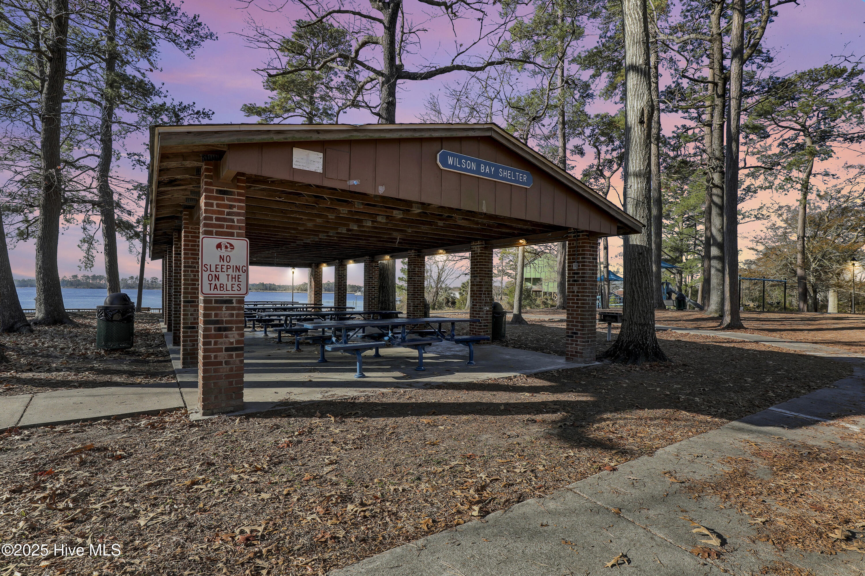 100528167 | Photo 40