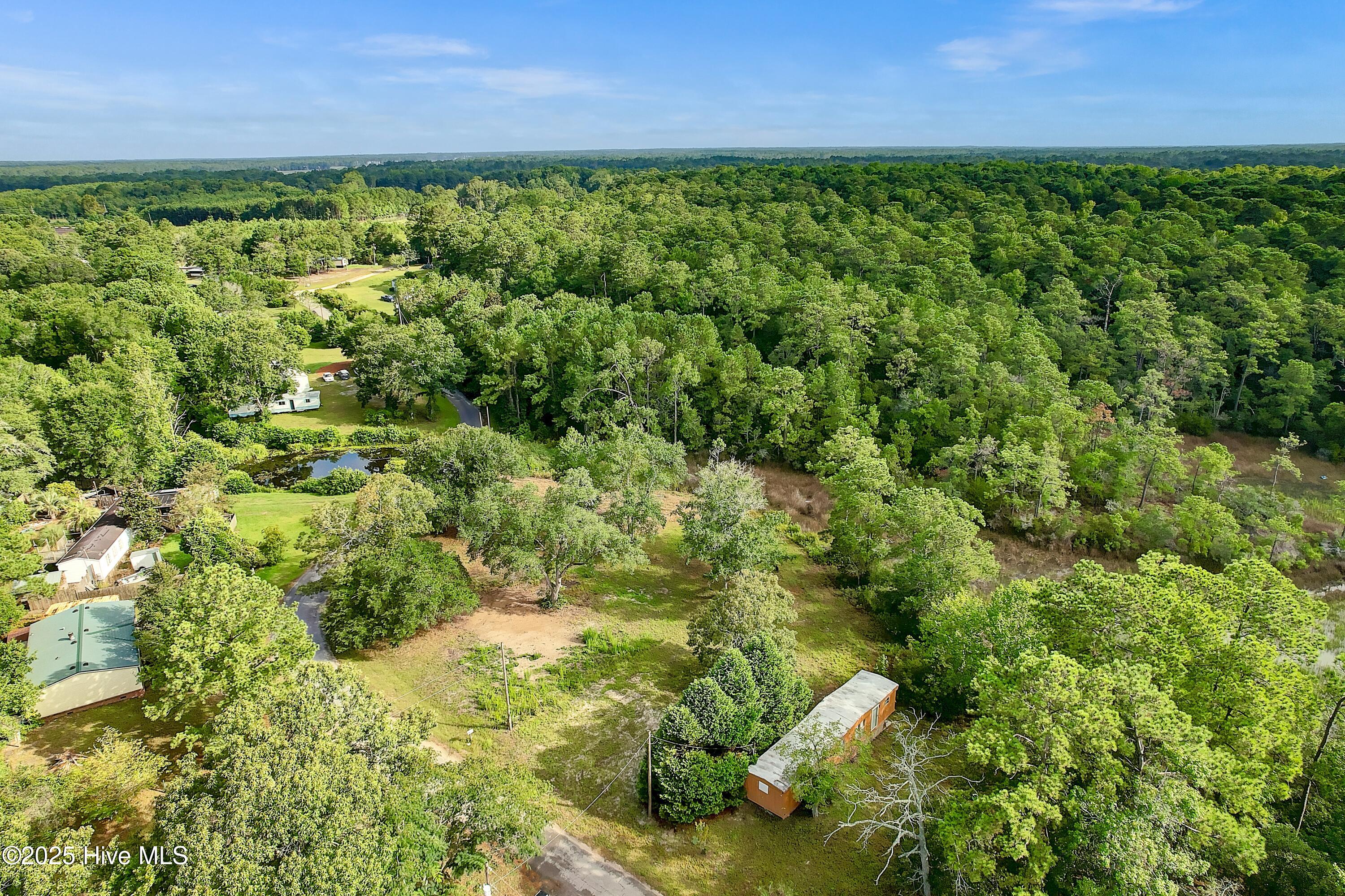 100521467 | Photo 17