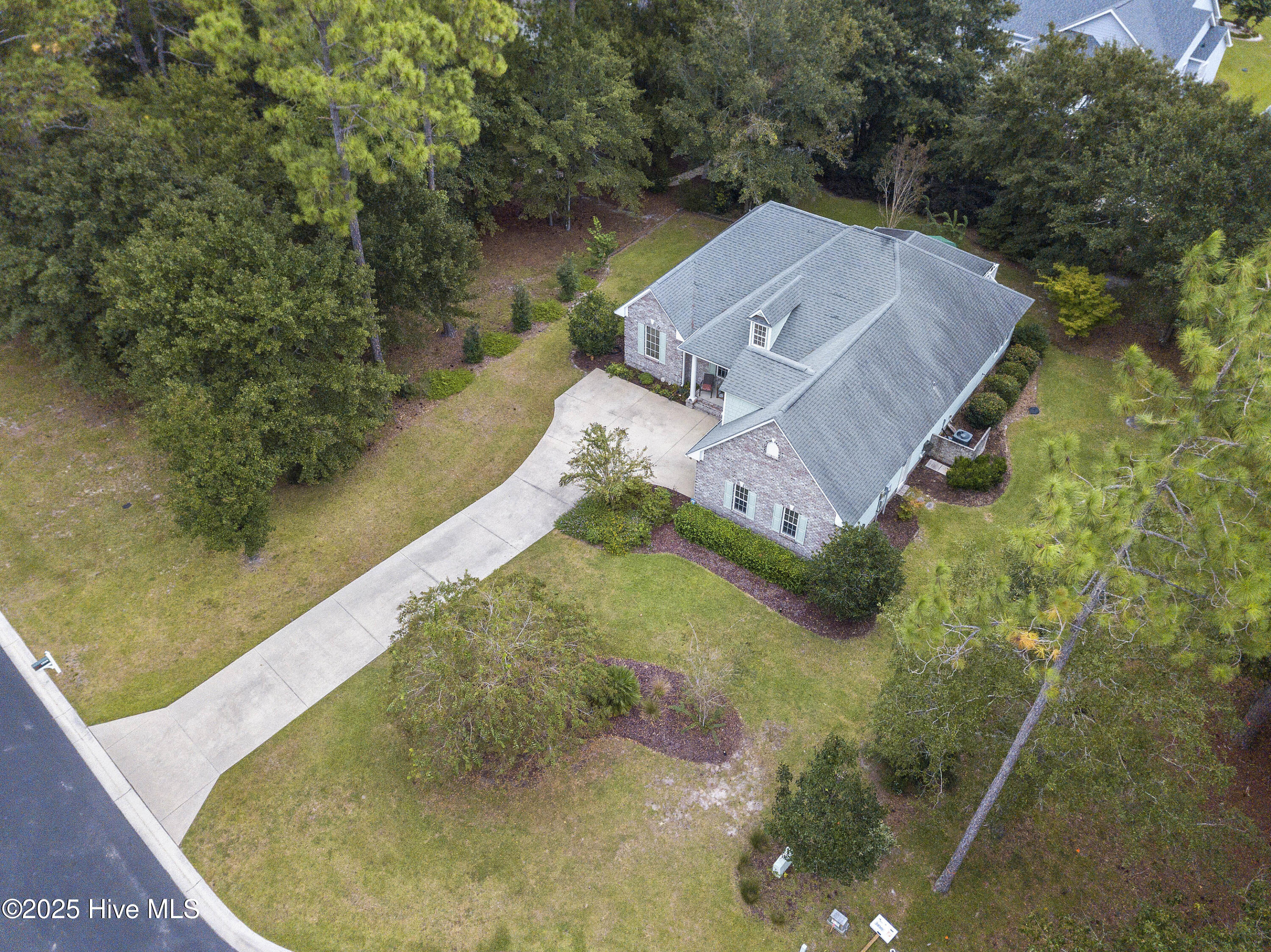 100528316 | Photo 65