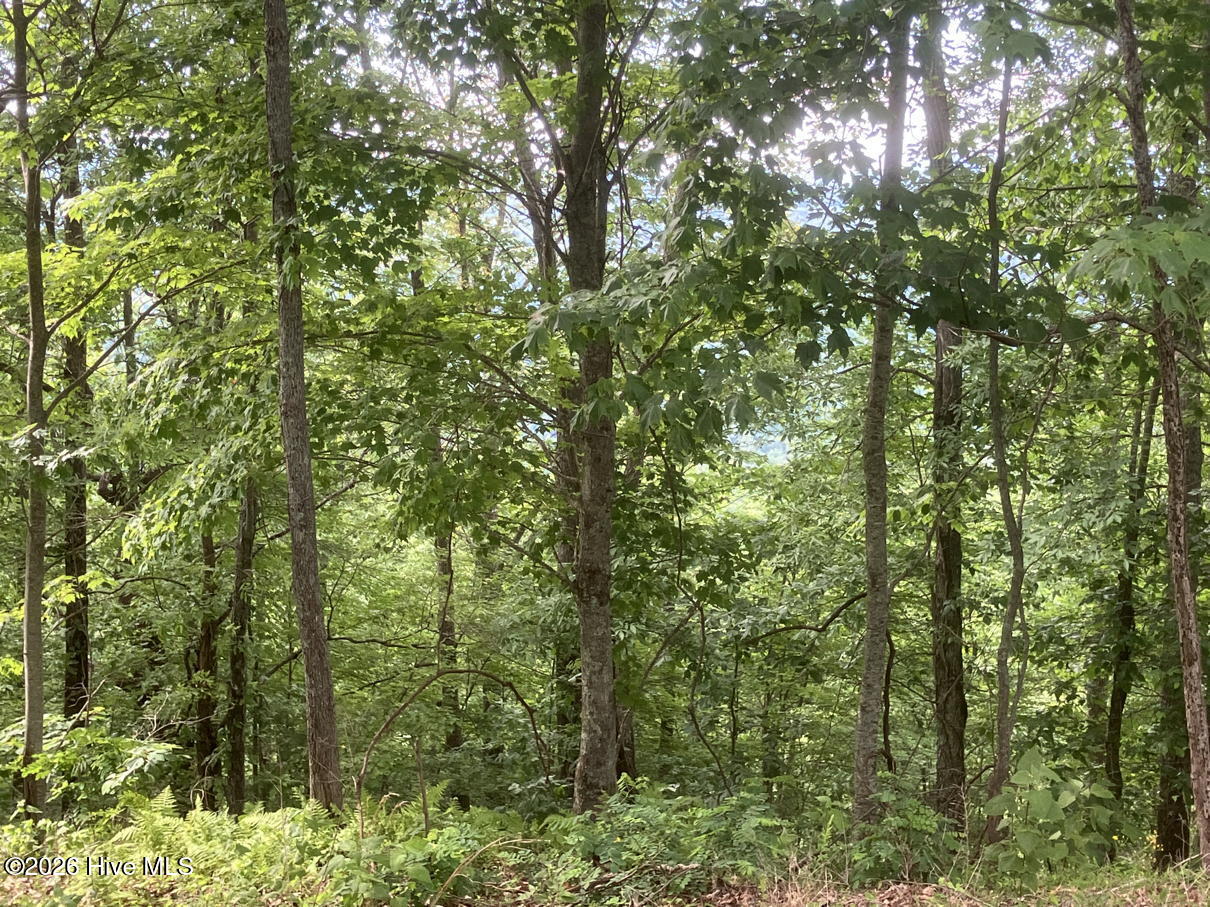 Exterior photo of Lot 51 51 Buck Ridge Drive, Murphy, NC 28906. MLS: 100580423