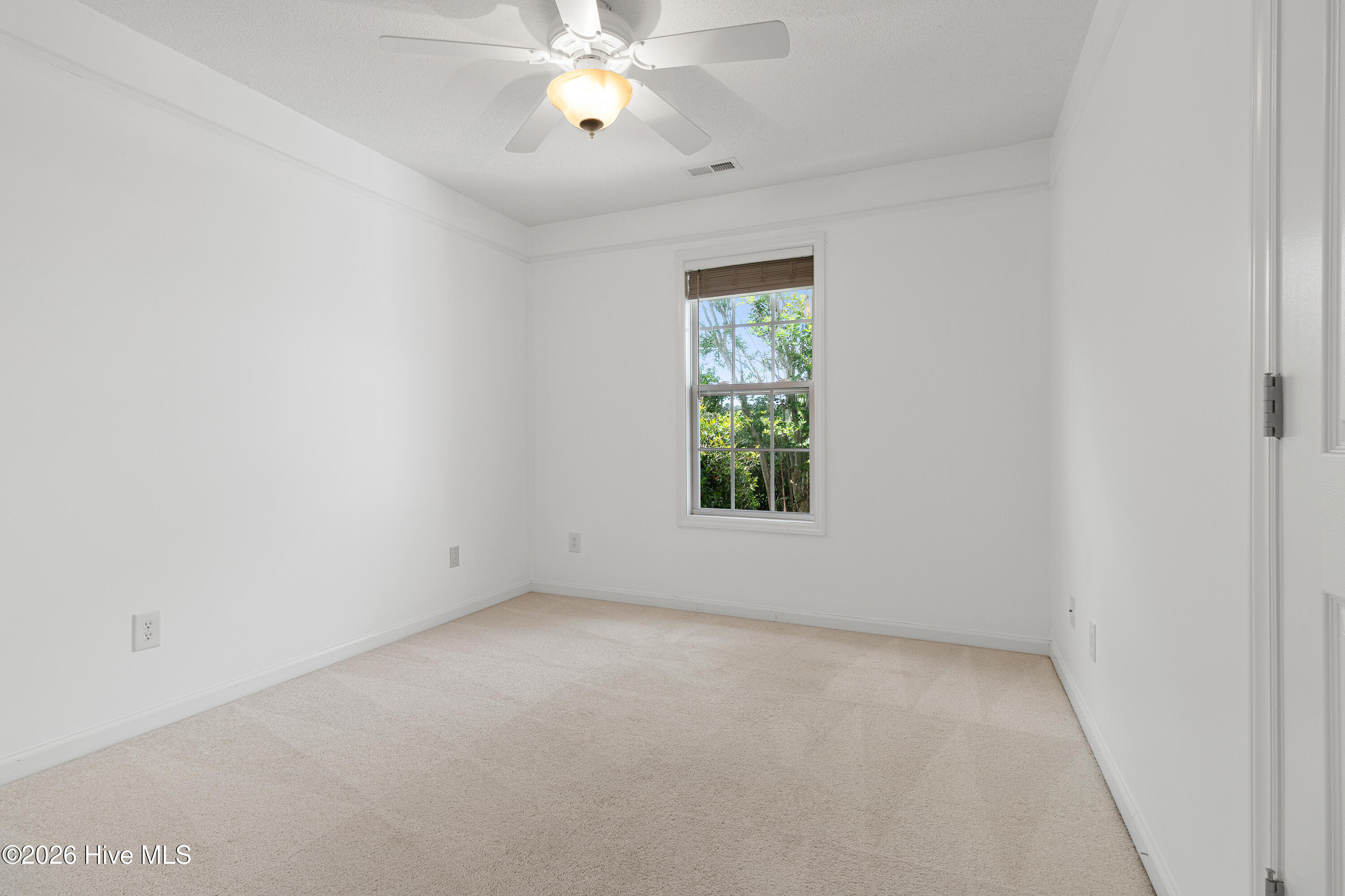 100570651 | Photo 19