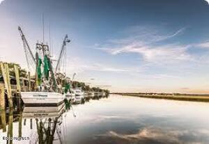 100551471 | Photo 49