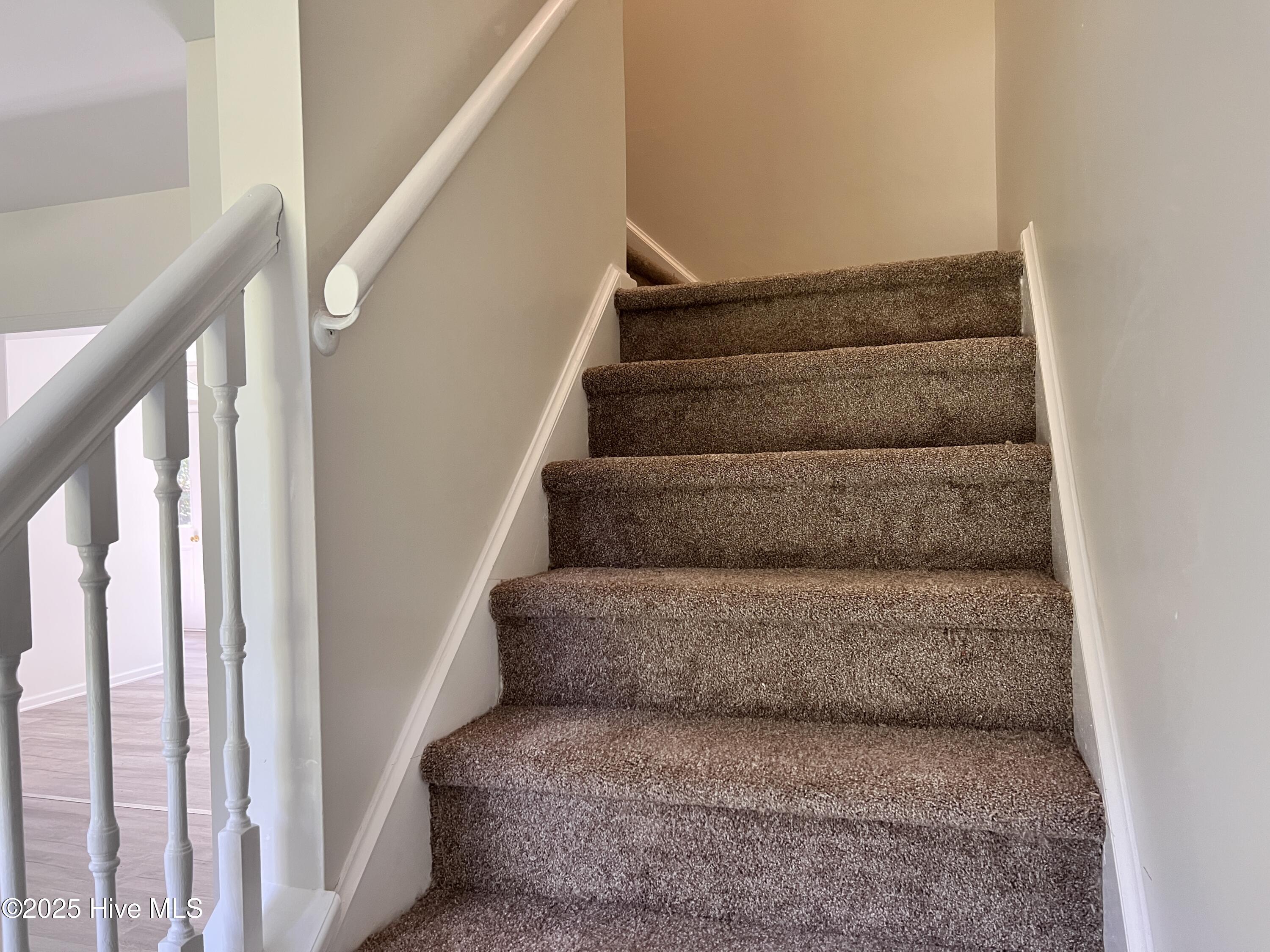 100535017 | Photo 11