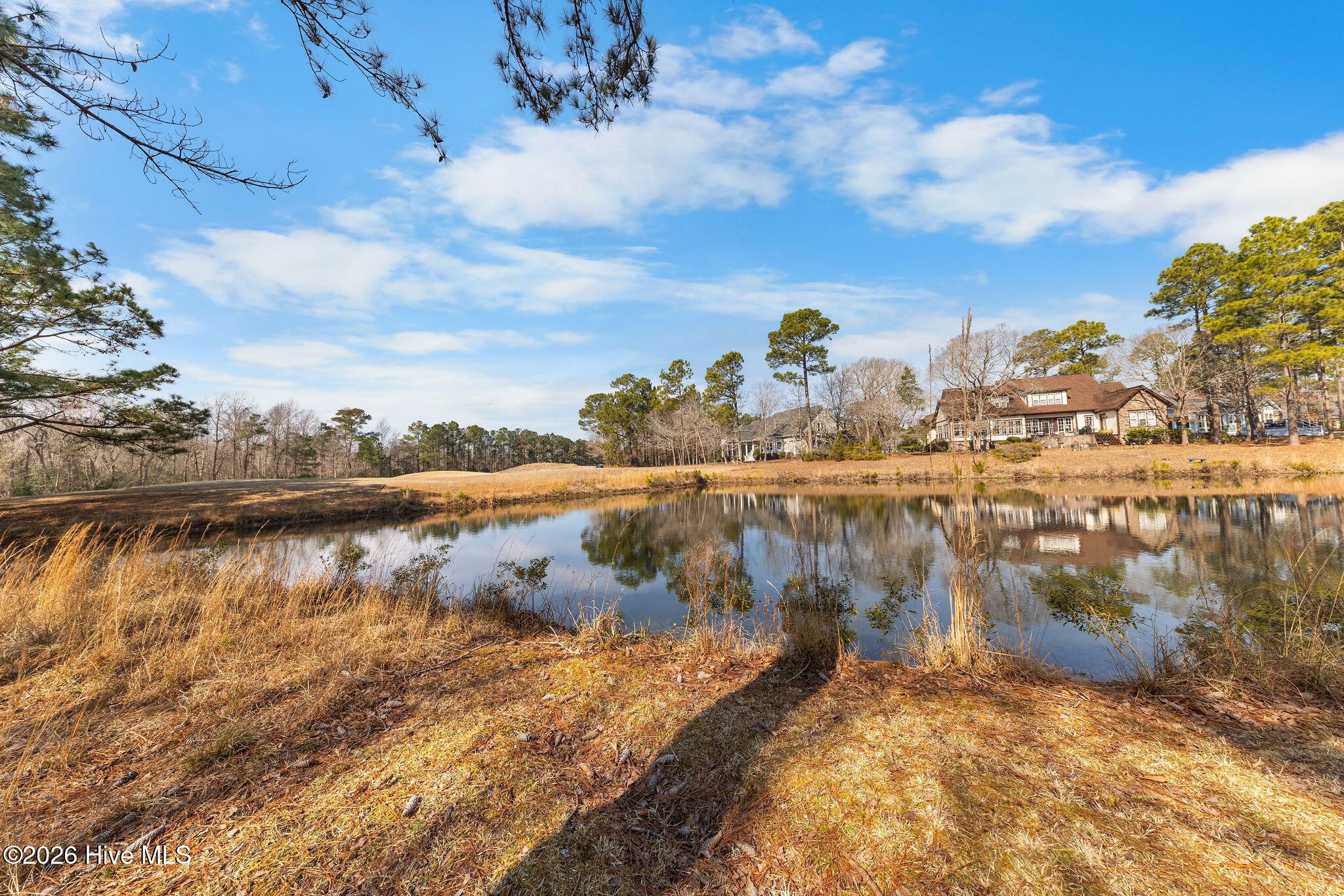 100557018 | Photo 20