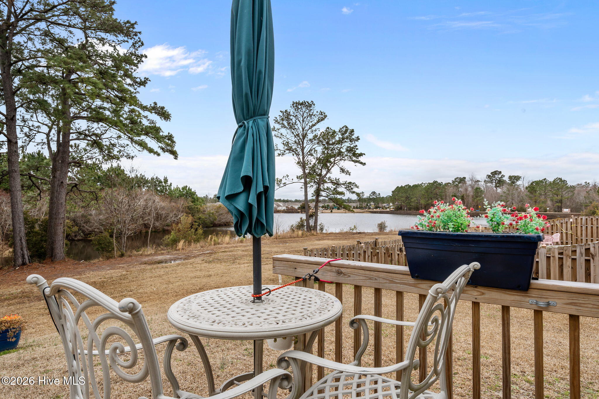 100555354 | Photo 54