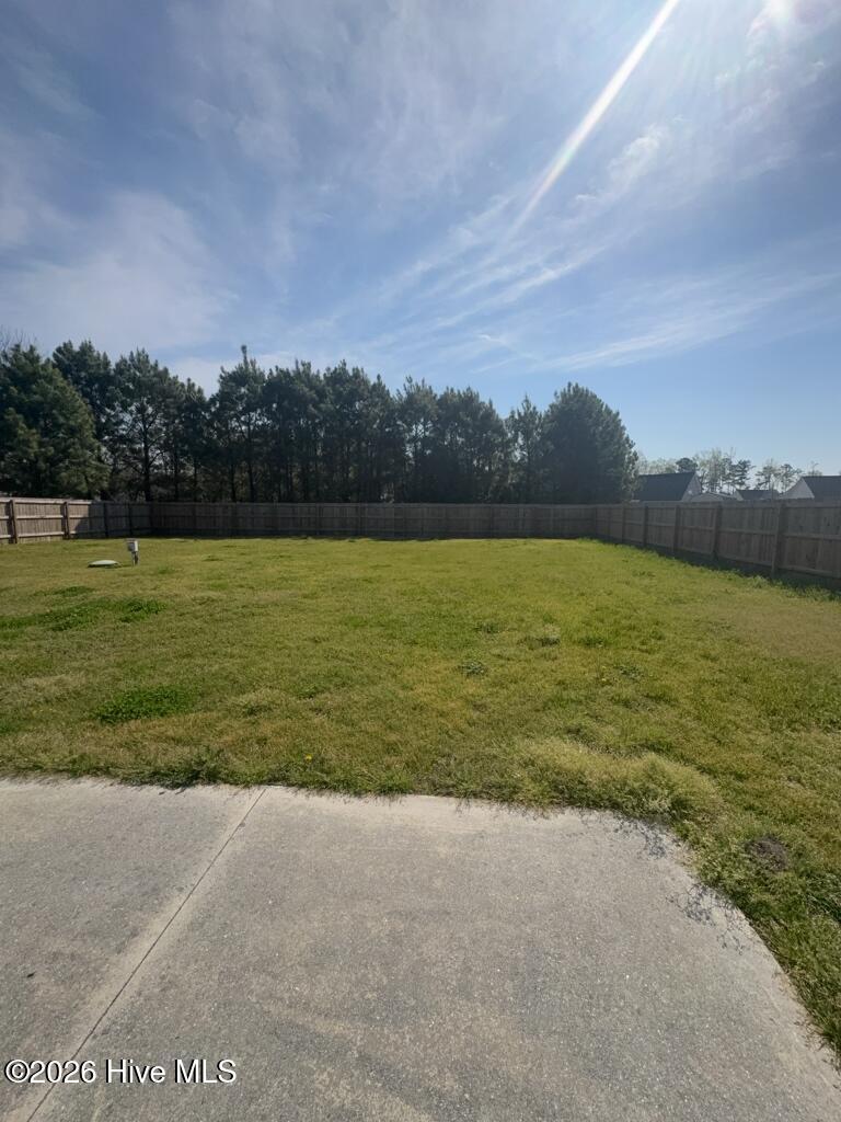 100563176 | Photo 31