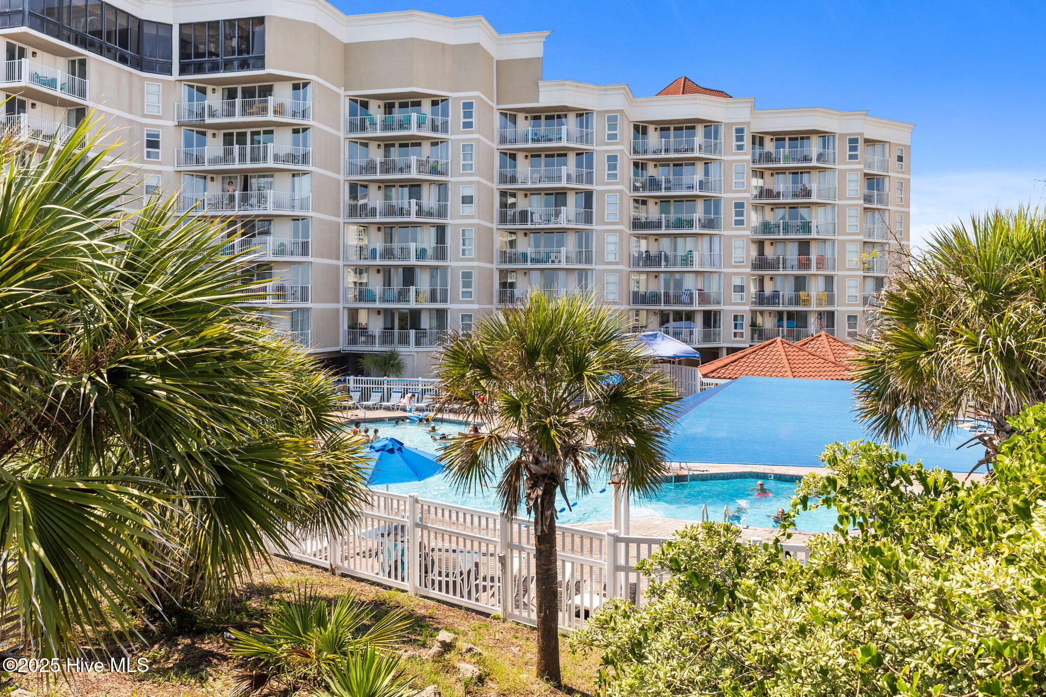 100528908 | Photo 35