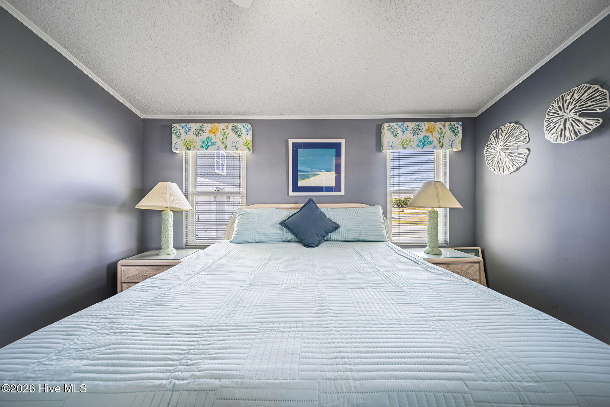 100561406 | Photo 41