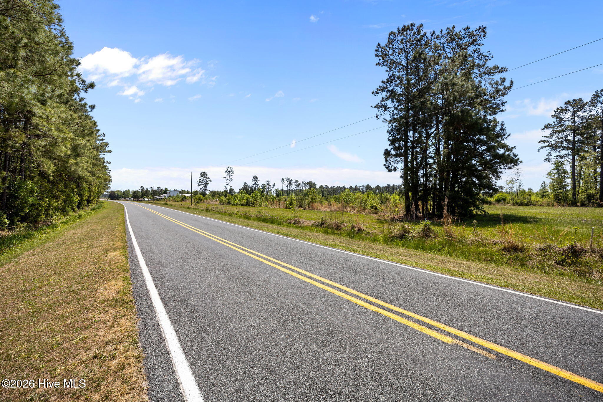 100569049 | Photo 11