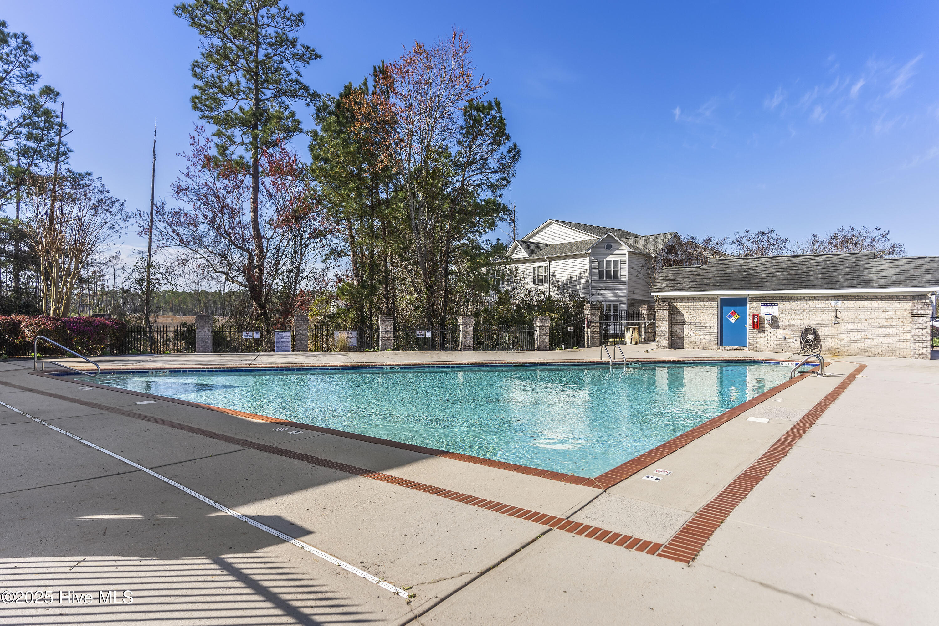 100541442 | Photo 31