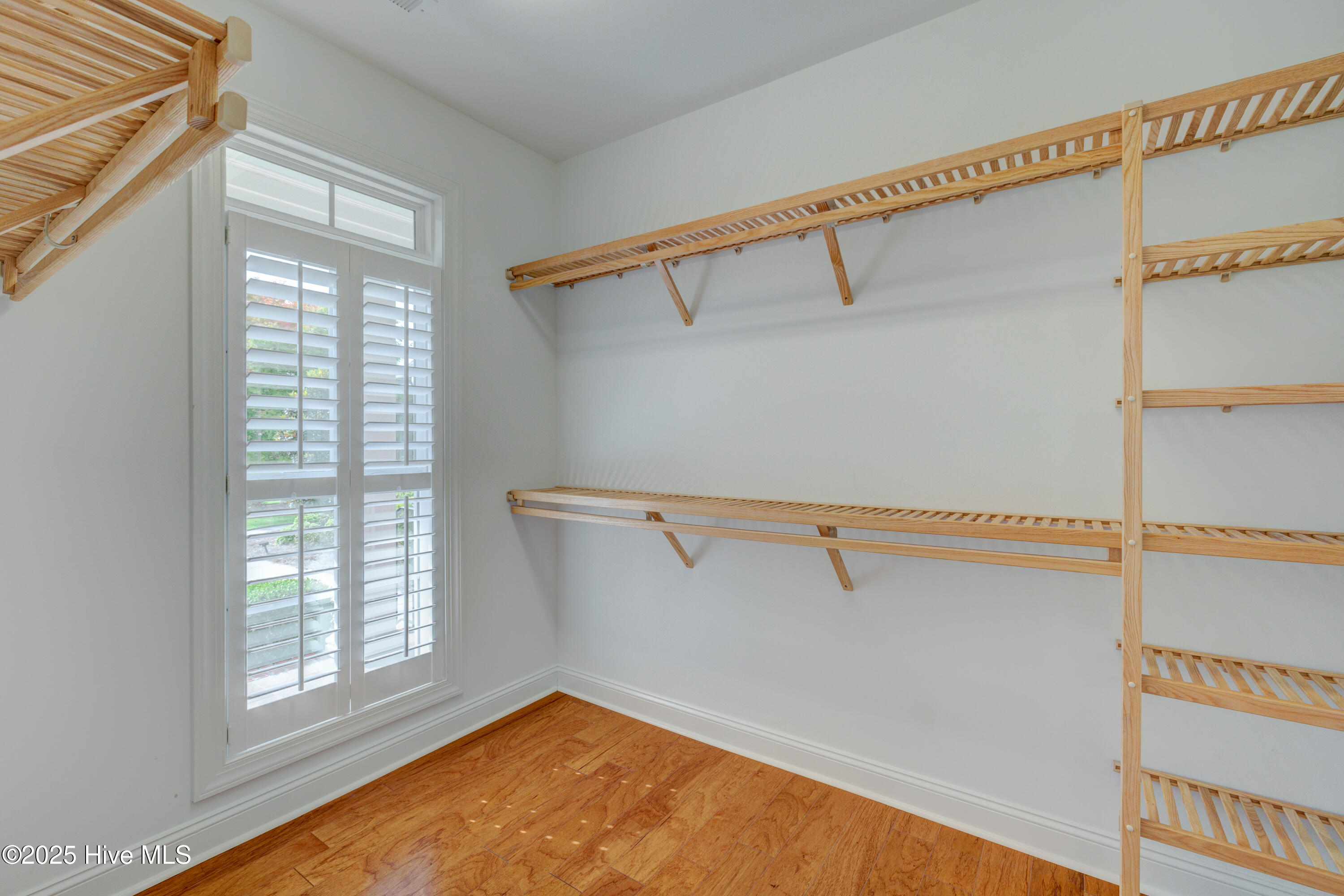 100527898 | Photo 38