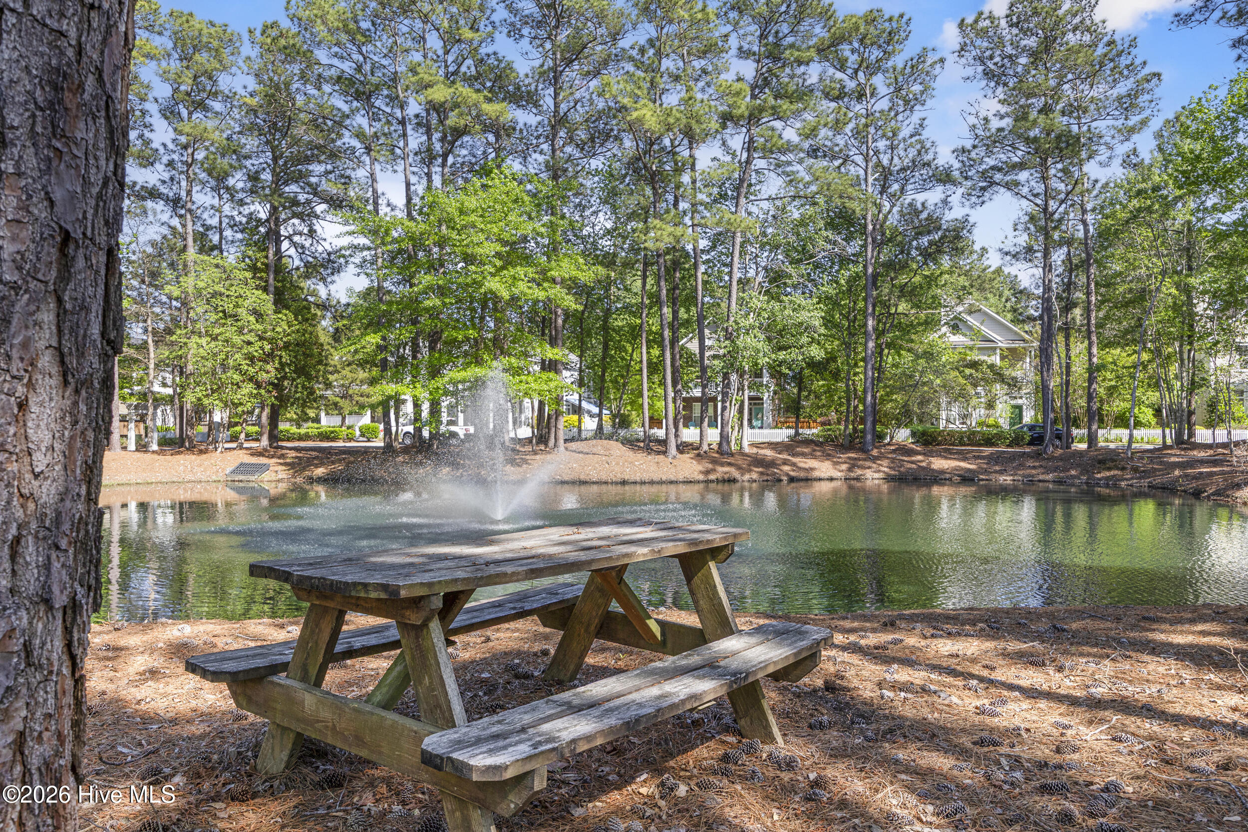 100567913 | Photo 51