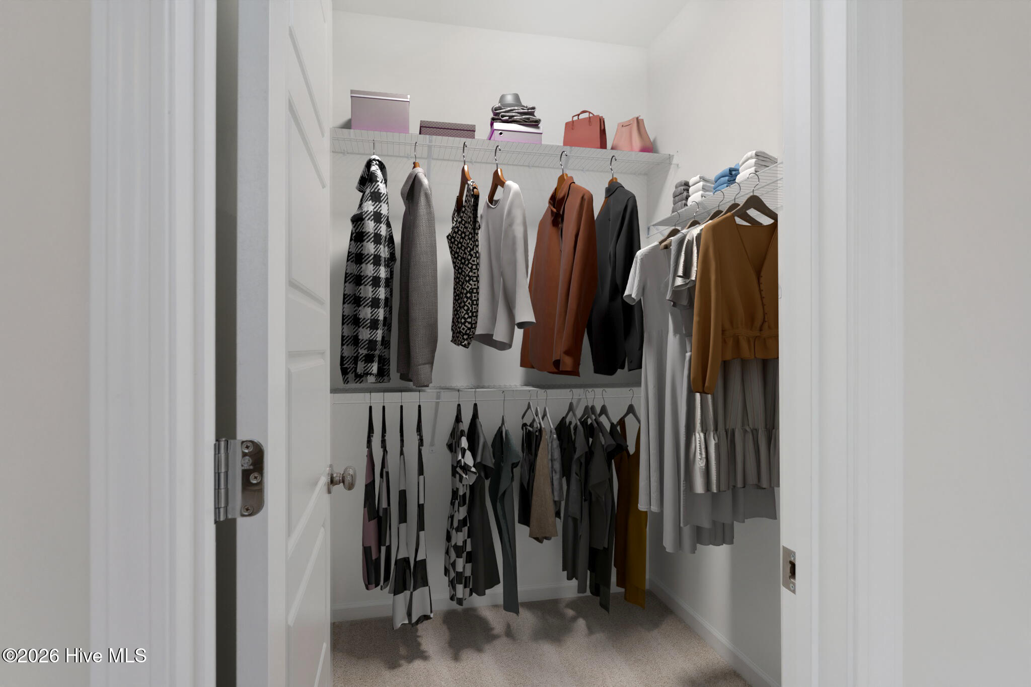 100568275 | Photo 12