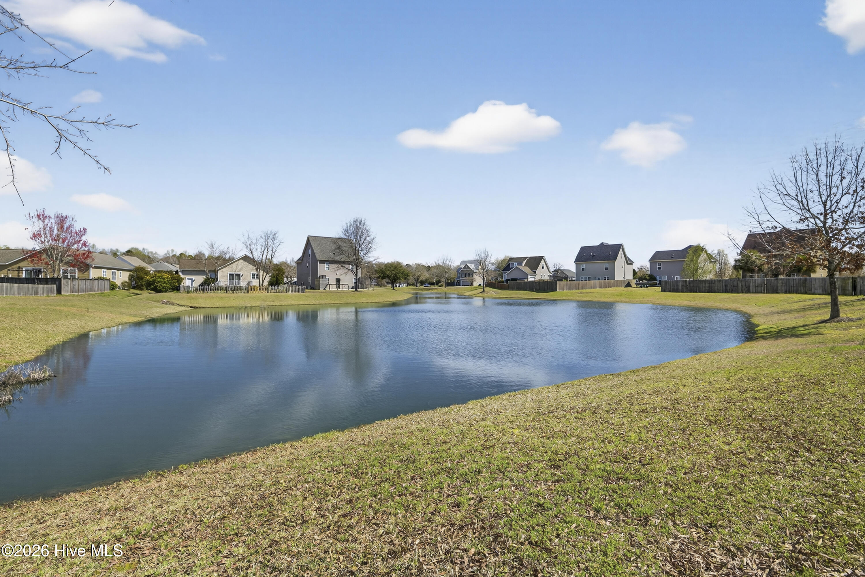 100560873 | Photo 42