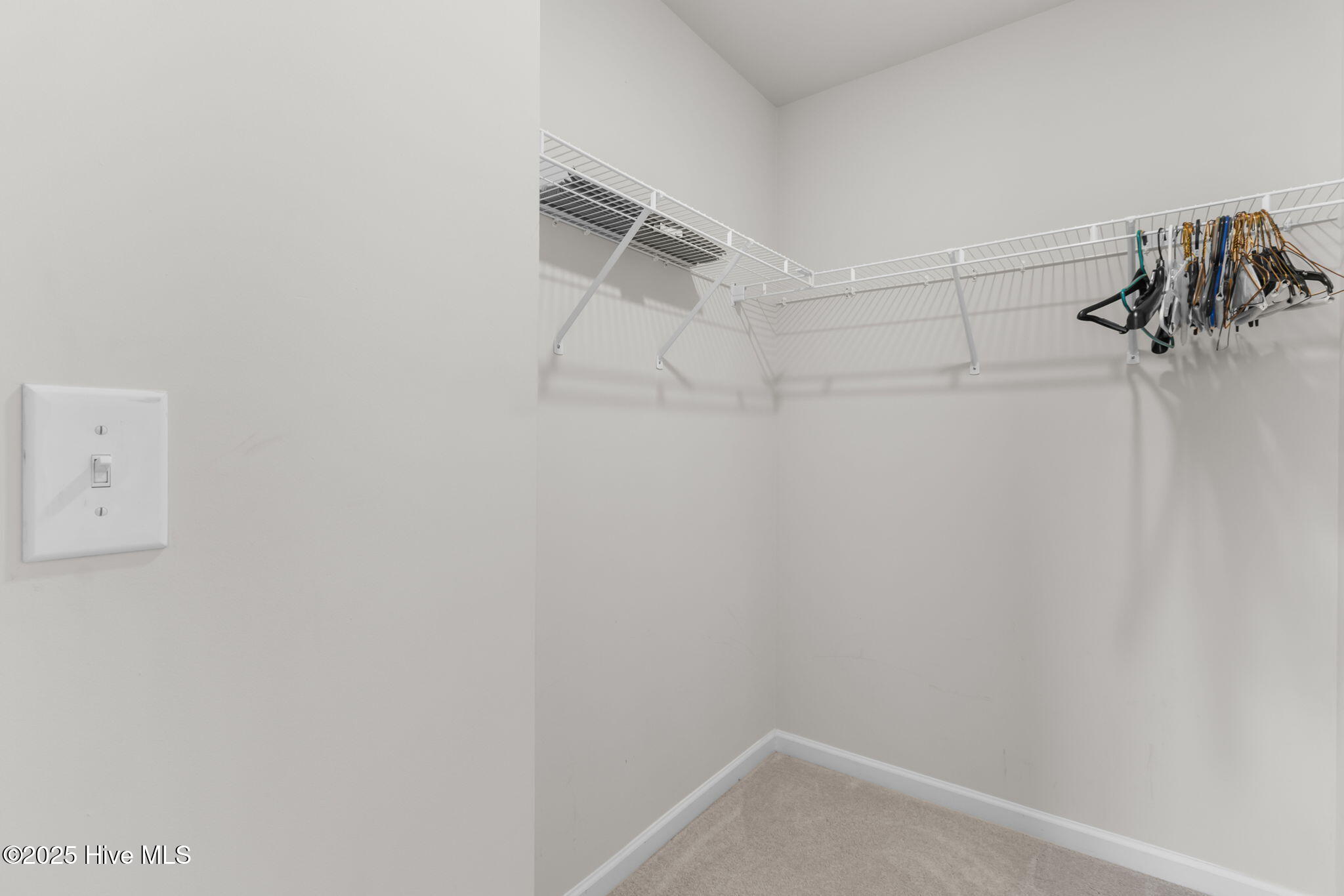 100538168 | Photo 36