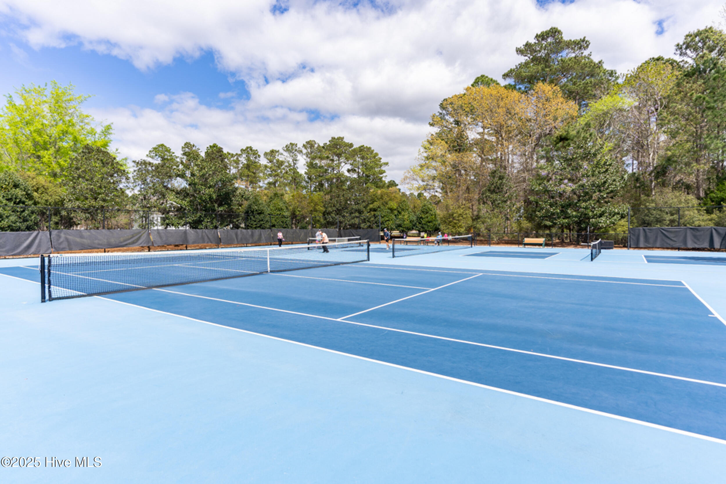 100527570 | Photo 38