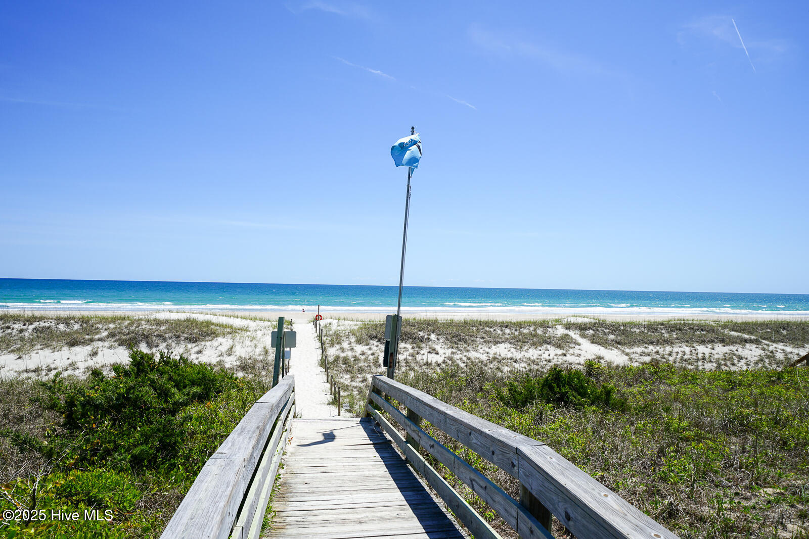 100519598 | Photo 50