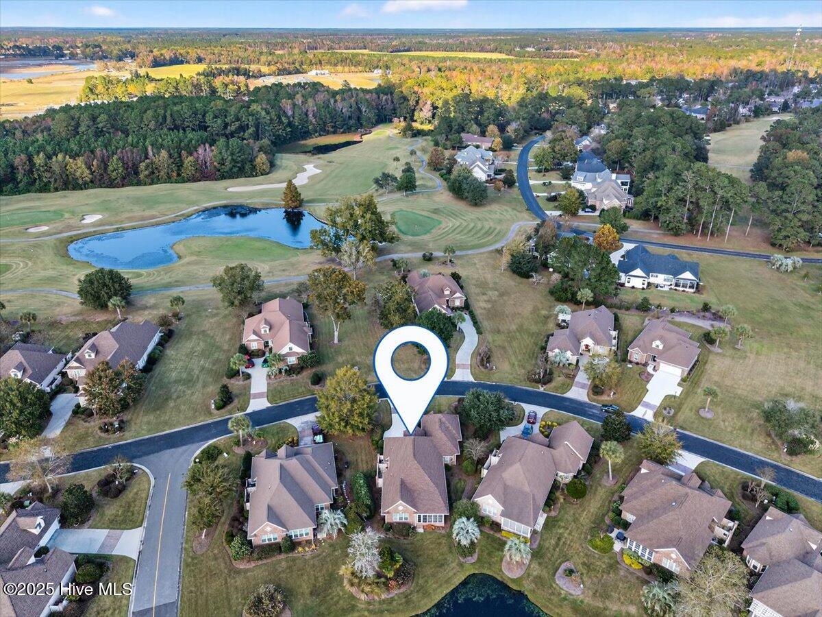 100539868 | Photo 50