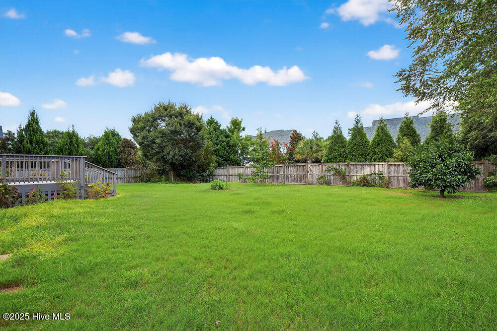 100526885 | Photo 27