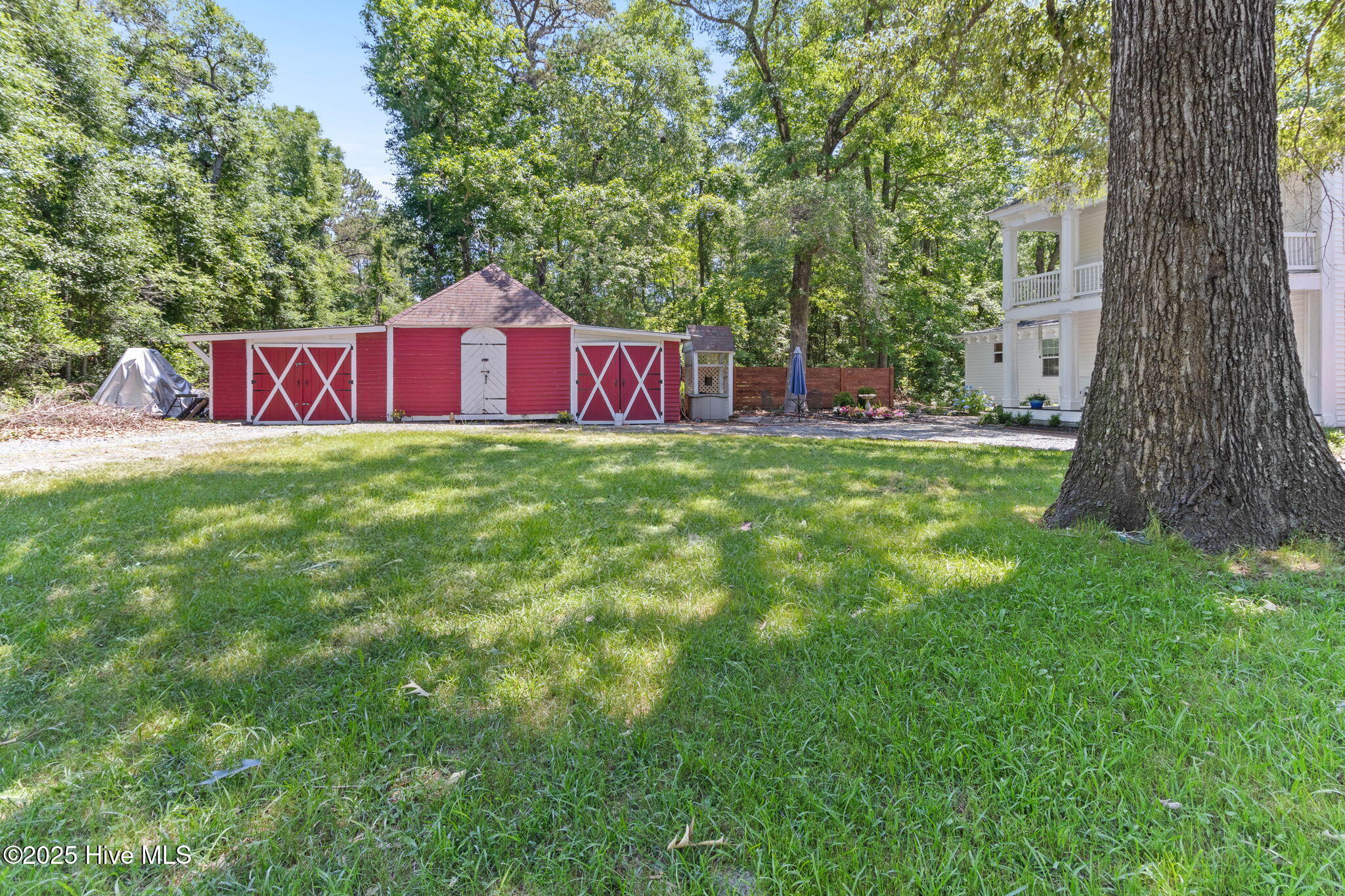 100507341 | Photo 59