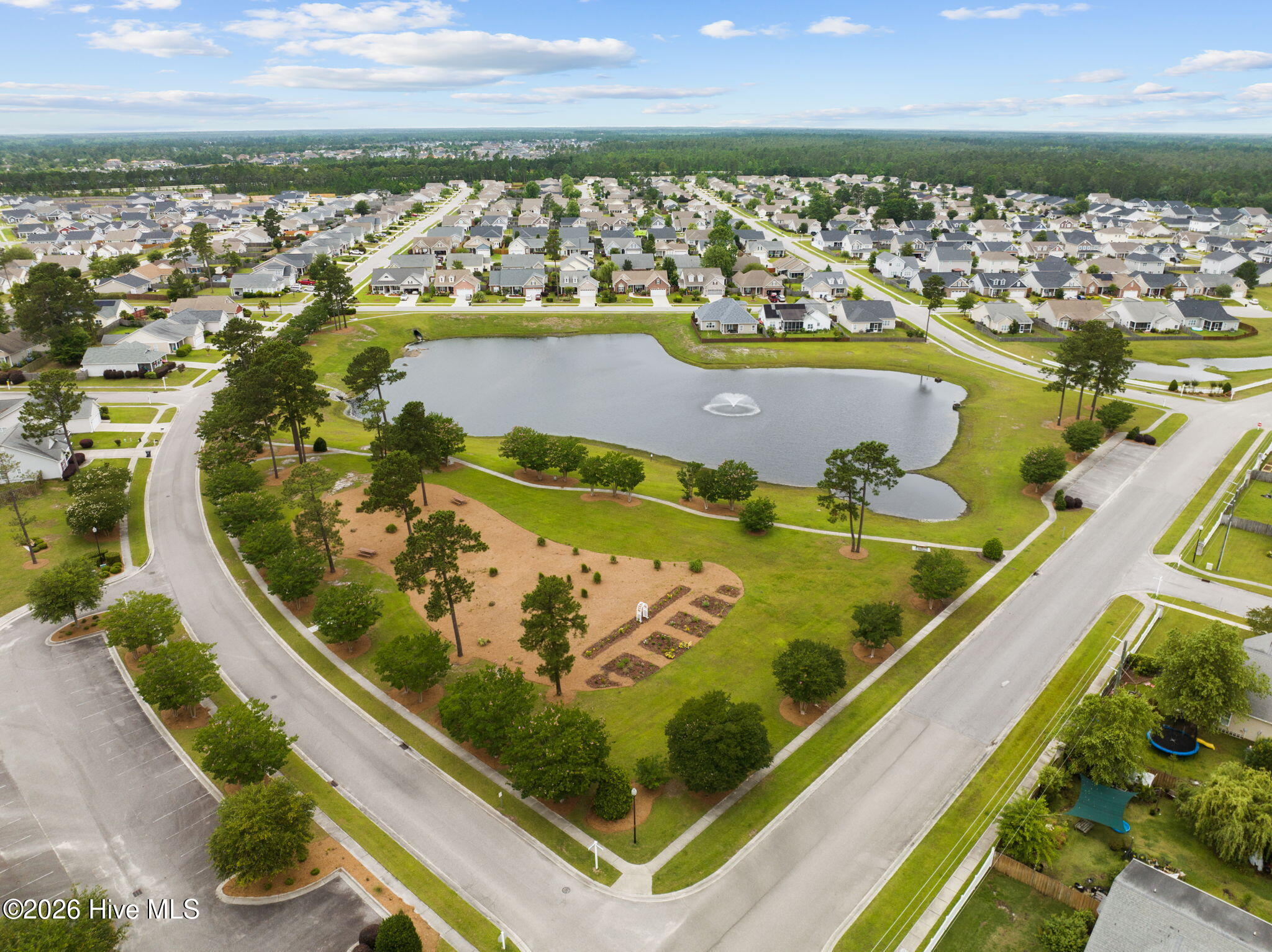 100554294 | Photo 32