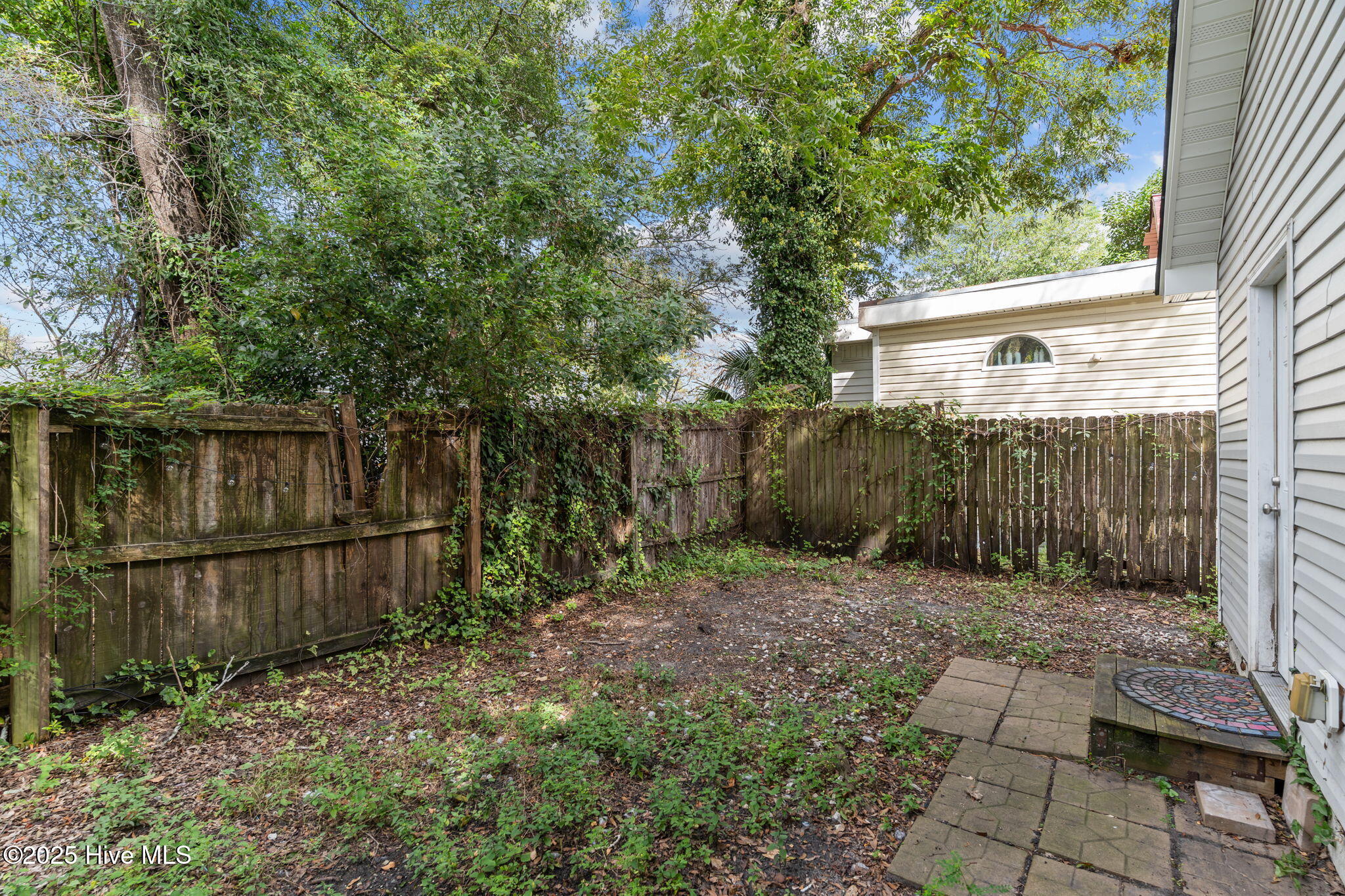 100534233 | Photo 33