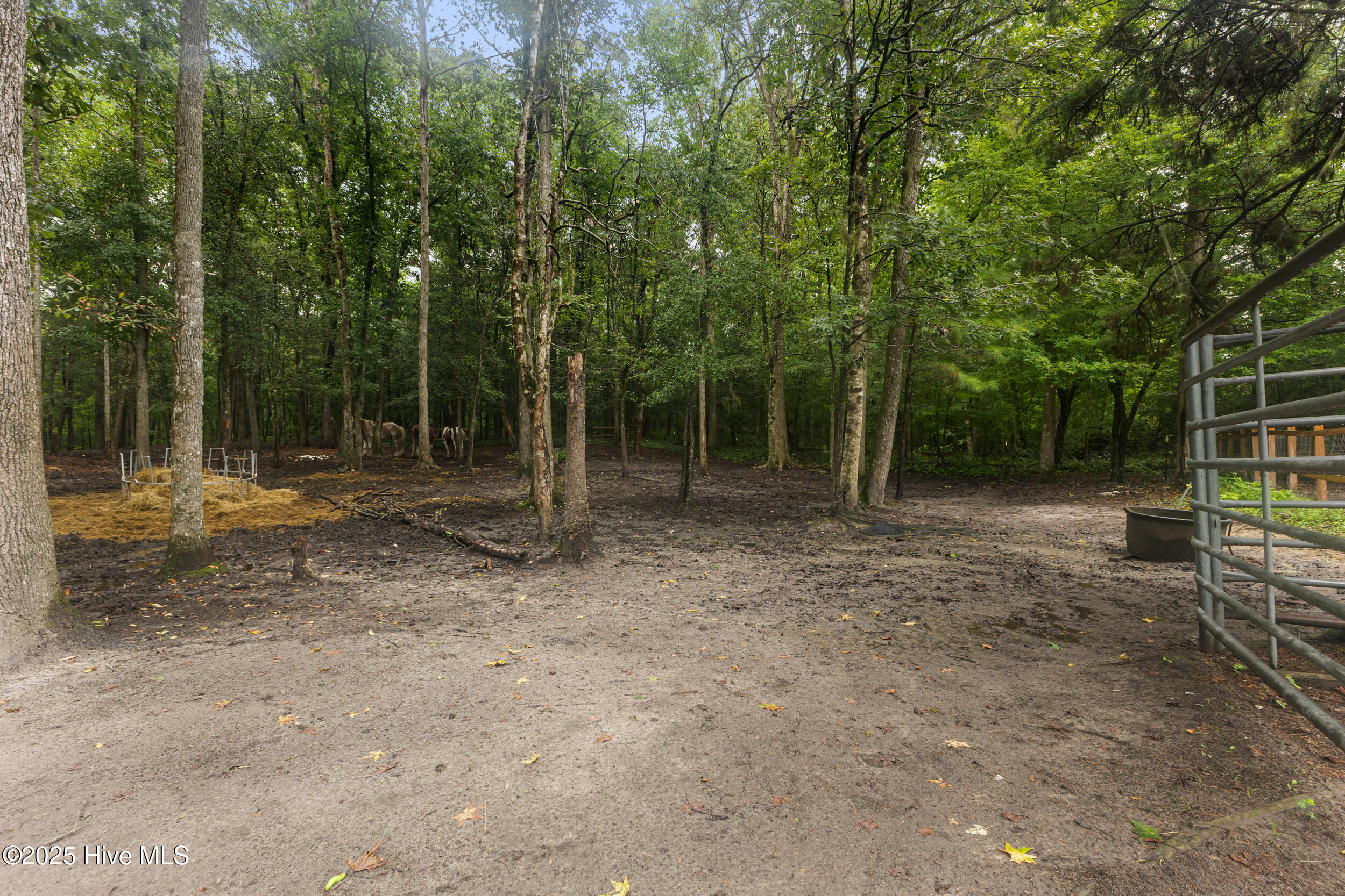 100524507 | Photo 35