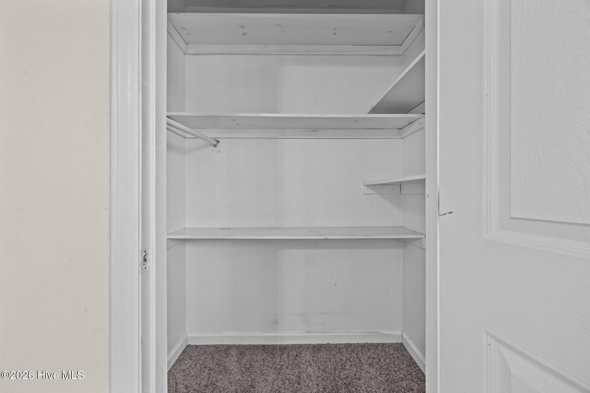 100551287 | Photo 30