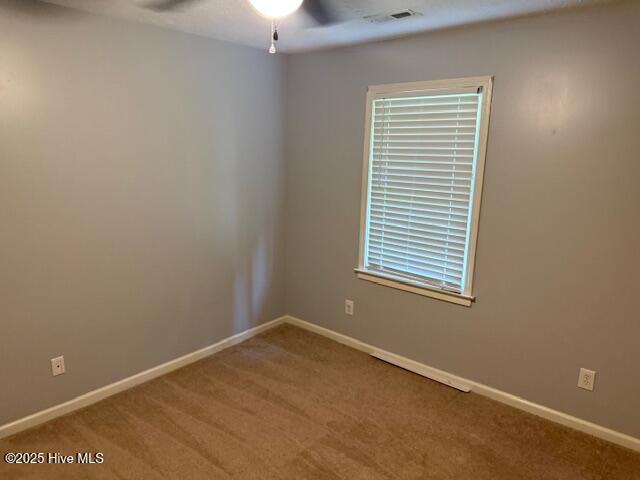 100523651 | Photo 23