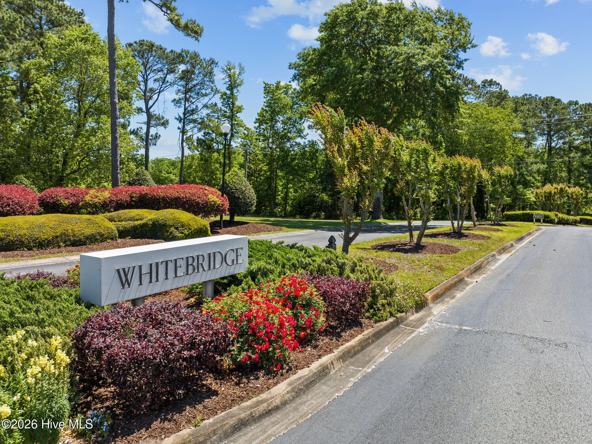 100566934 | Photo 70