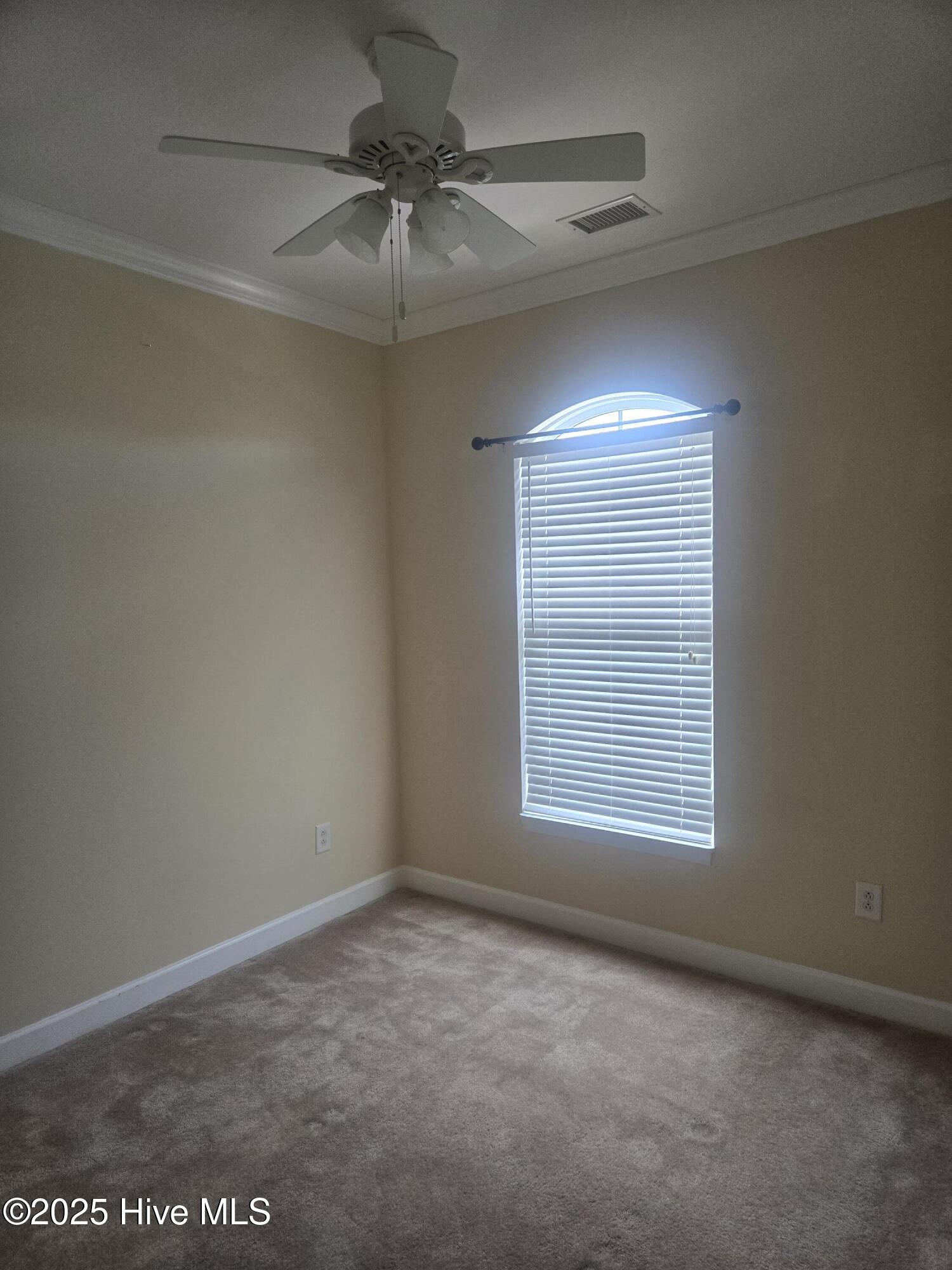 100517924 | Photo 17