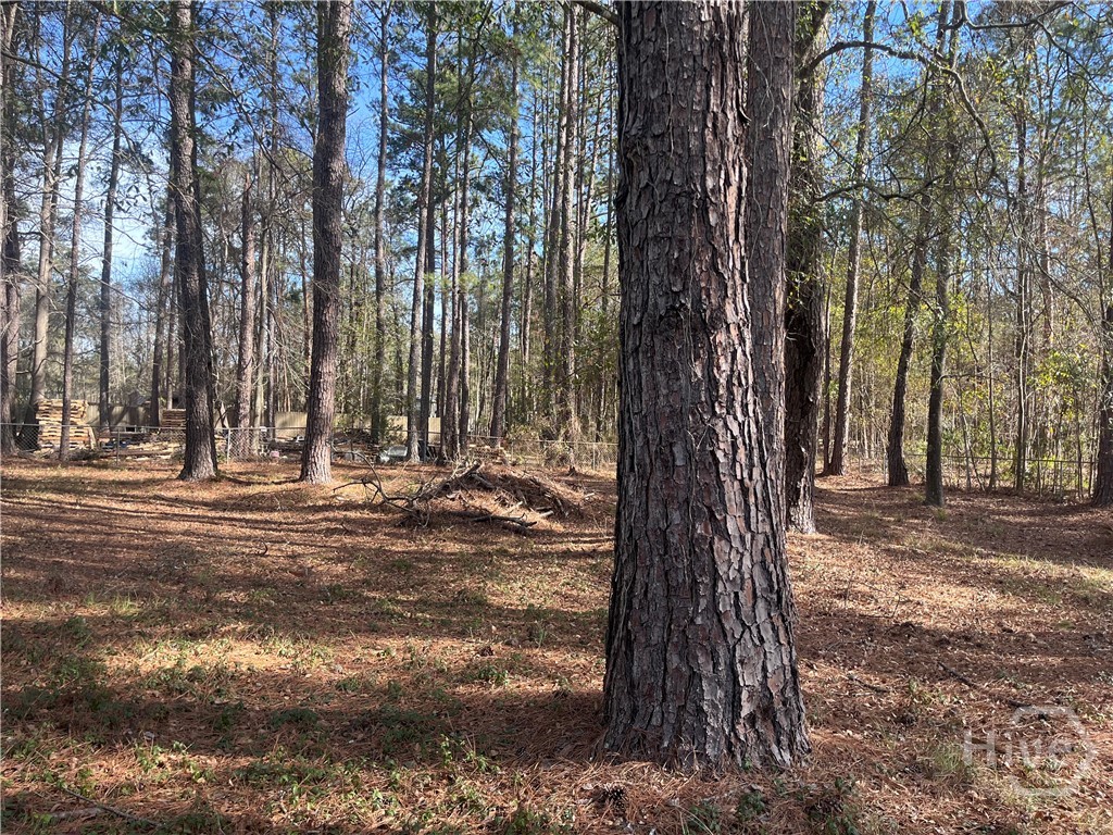 Homes for sale in Bloomingdale, GA | 157 John Carter Rd, Bloomingdale, GA 31302 | MLS# SA347978