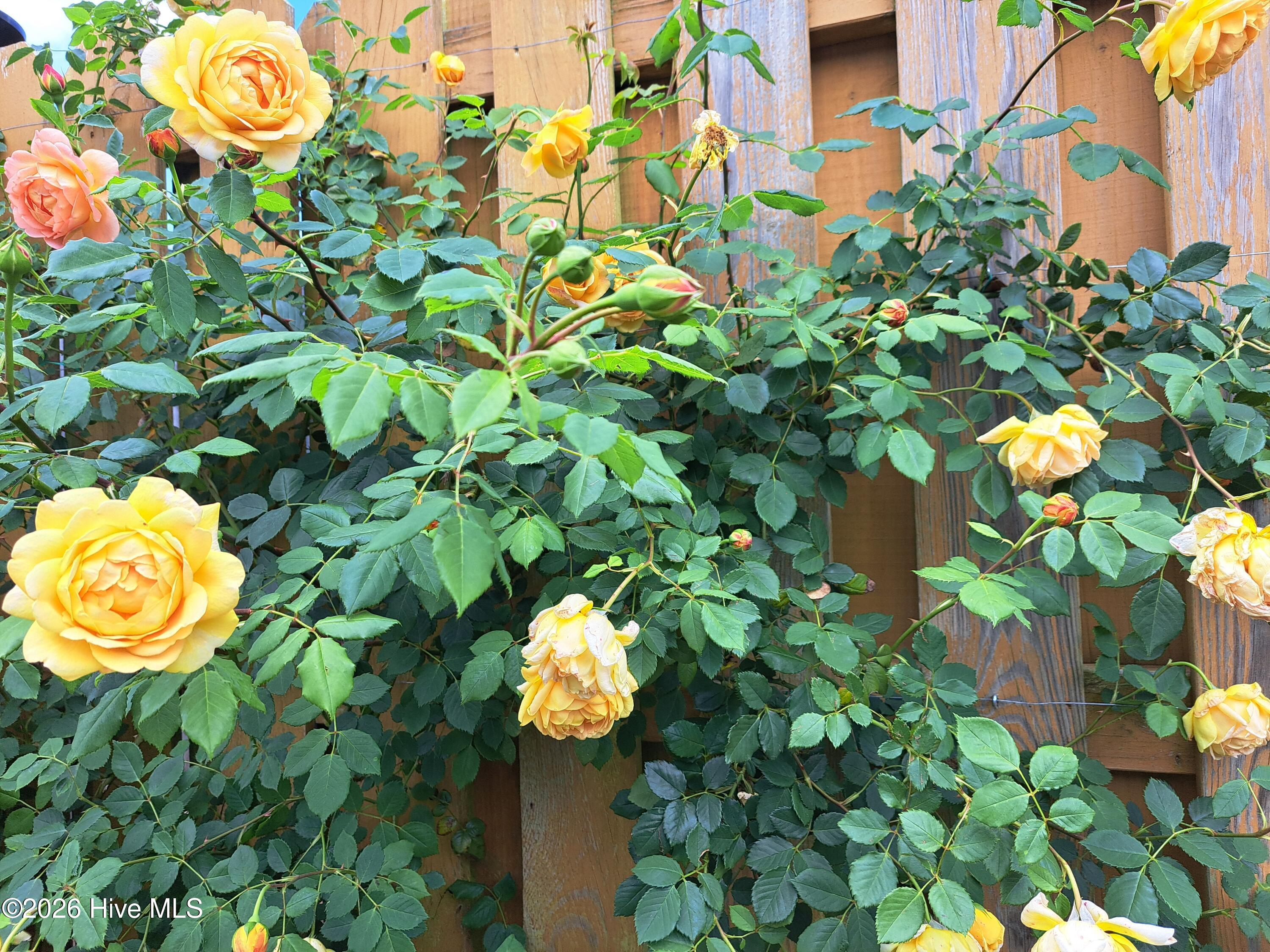 100551829 | Photo 56