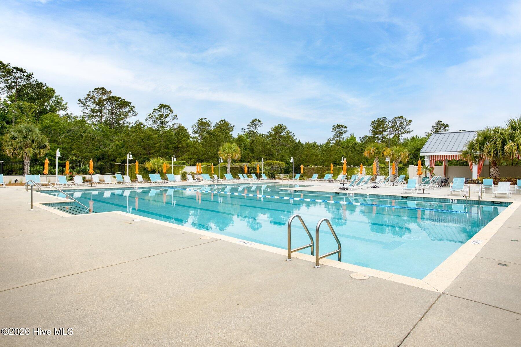 100558018 | Photo 44