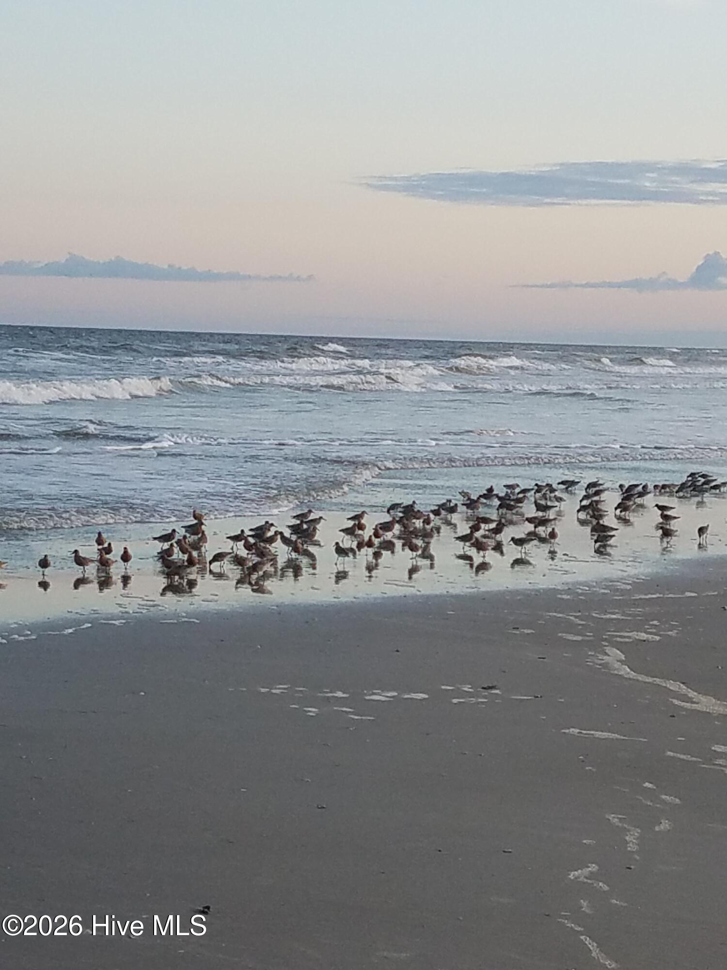 100555622 | Photo 53