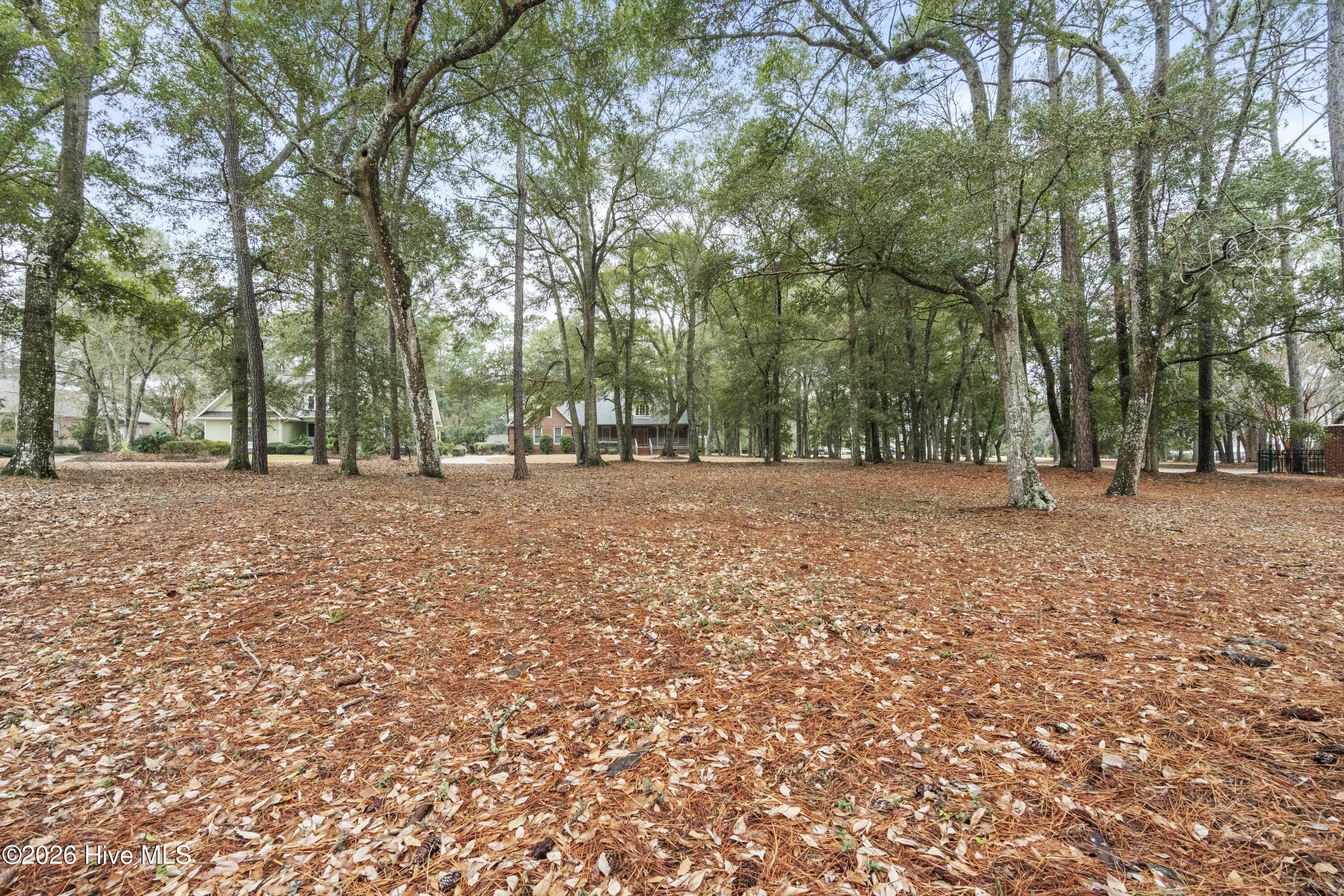 100553225 | Photo 16