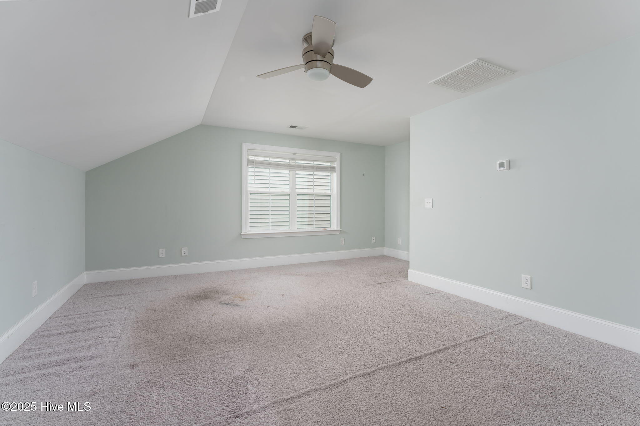 100530499 | Photo 24