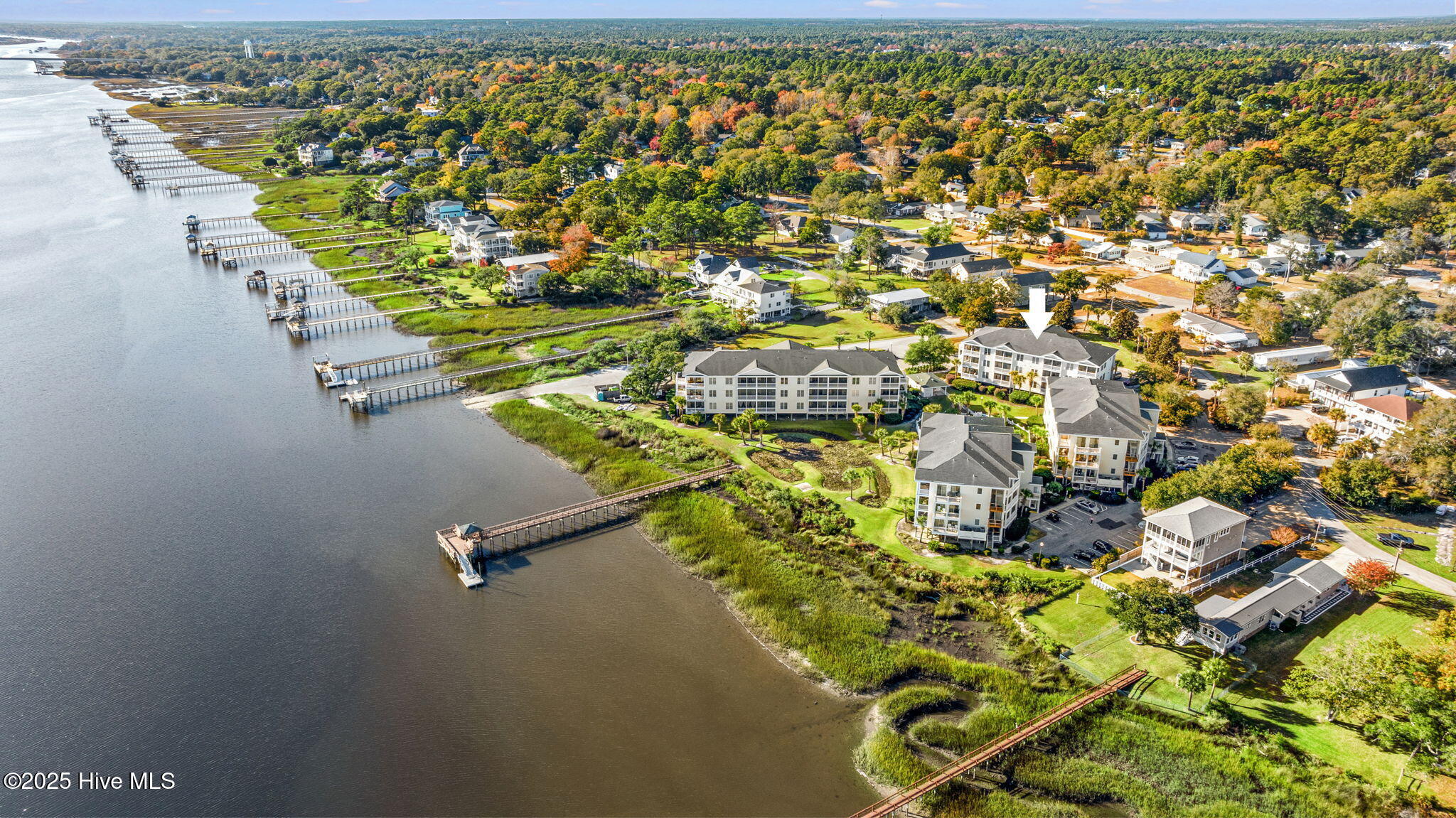 100542307 | Photo 34