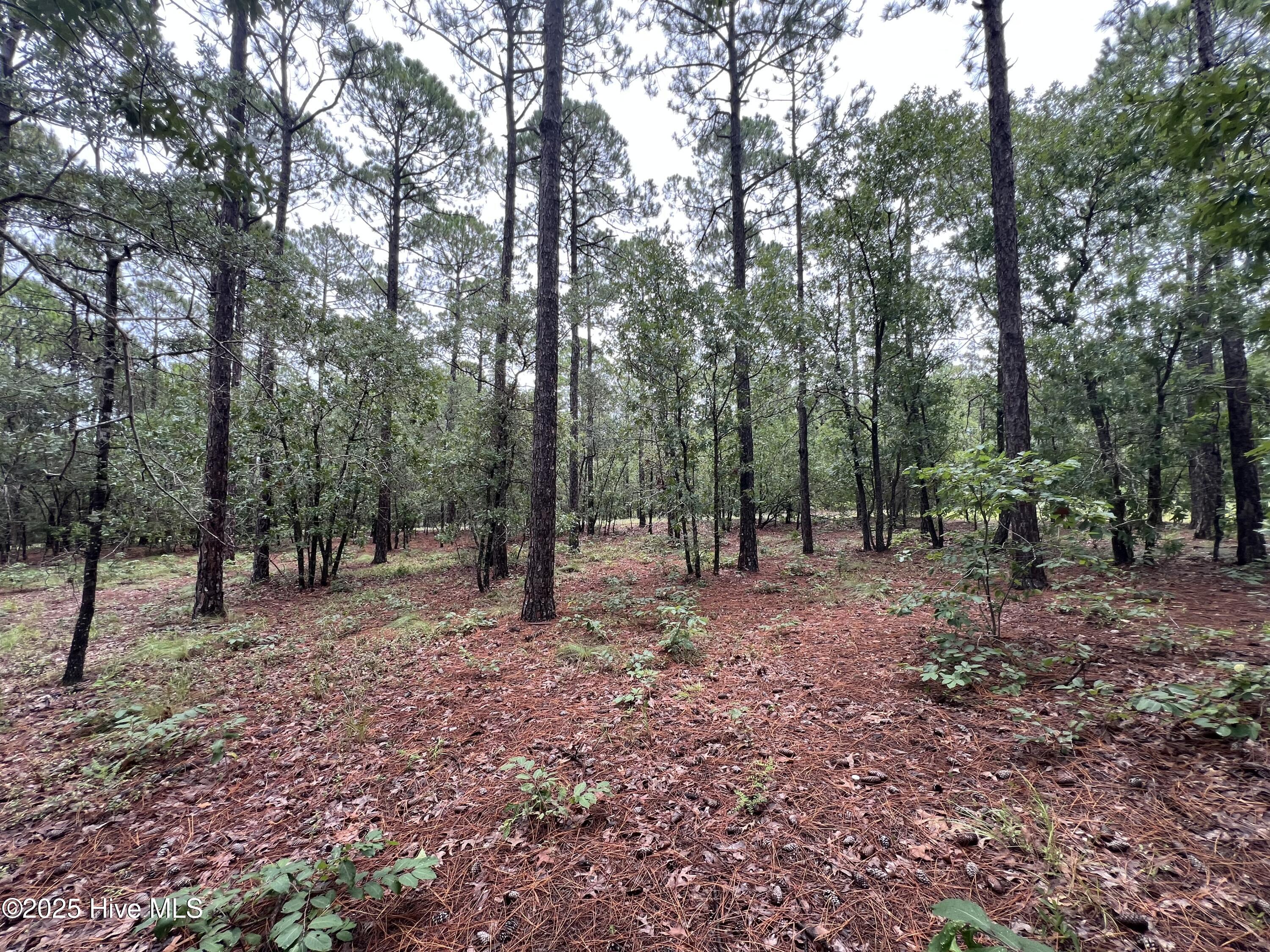 100527062 | Photo 20