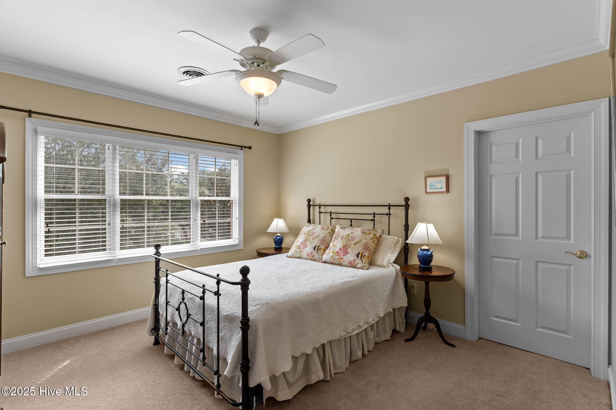 100524076 | Photo 31