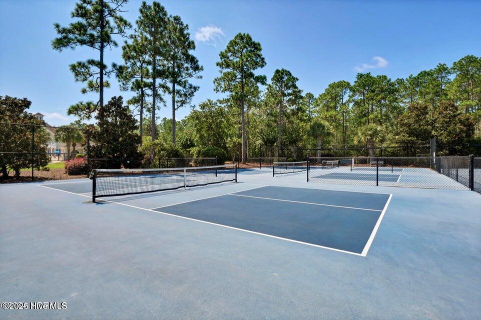 100512687 | Photo 37