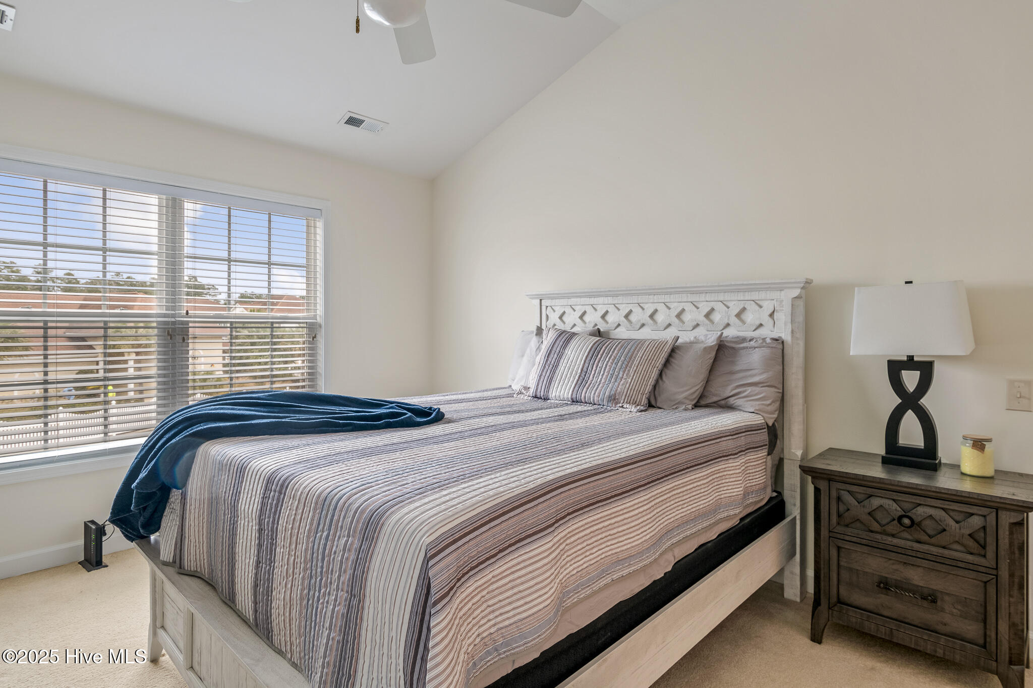 100565271 | Photo 15