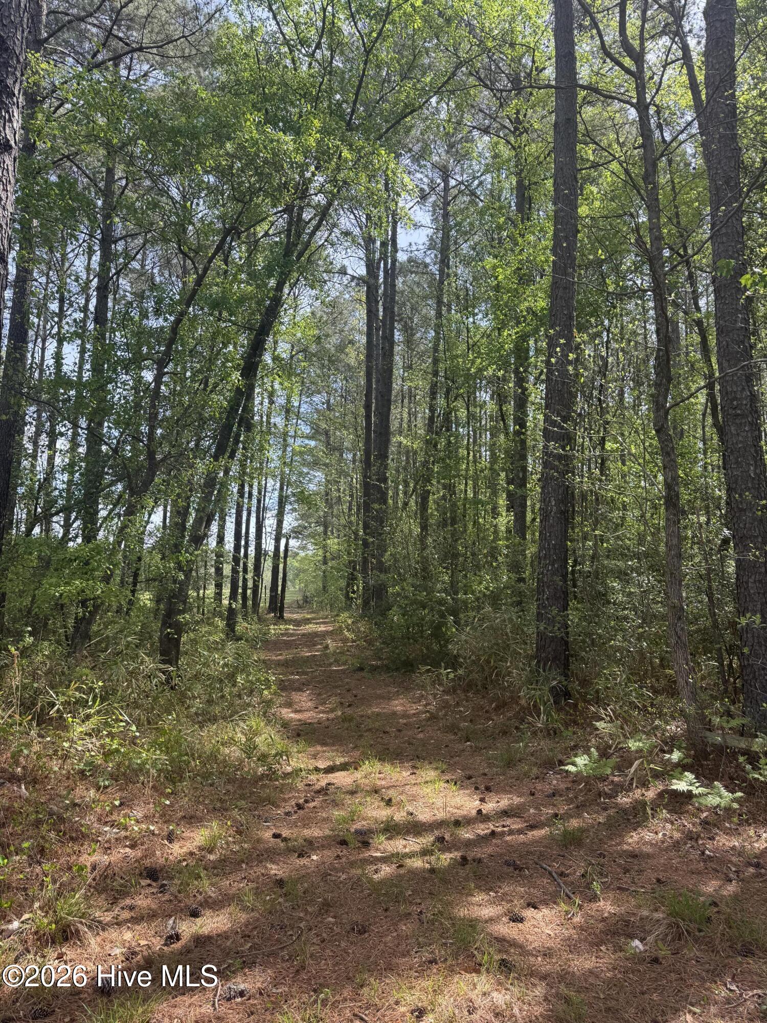 490 Springhill Church Road, Hamlet, NC, 28345