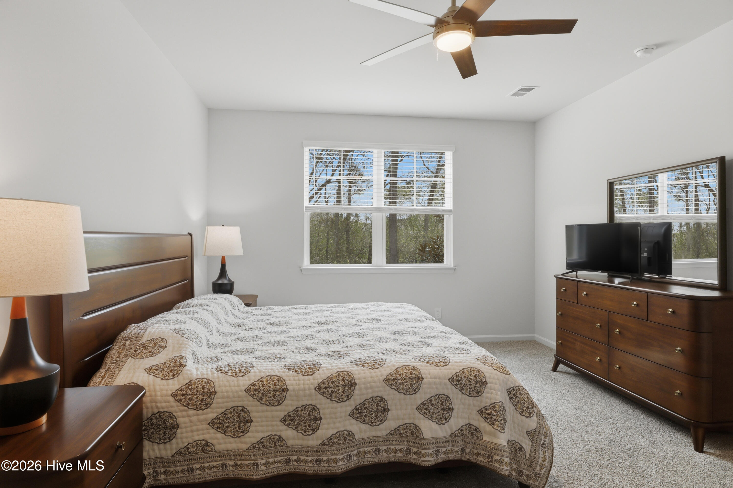 100564310 | Photo 30