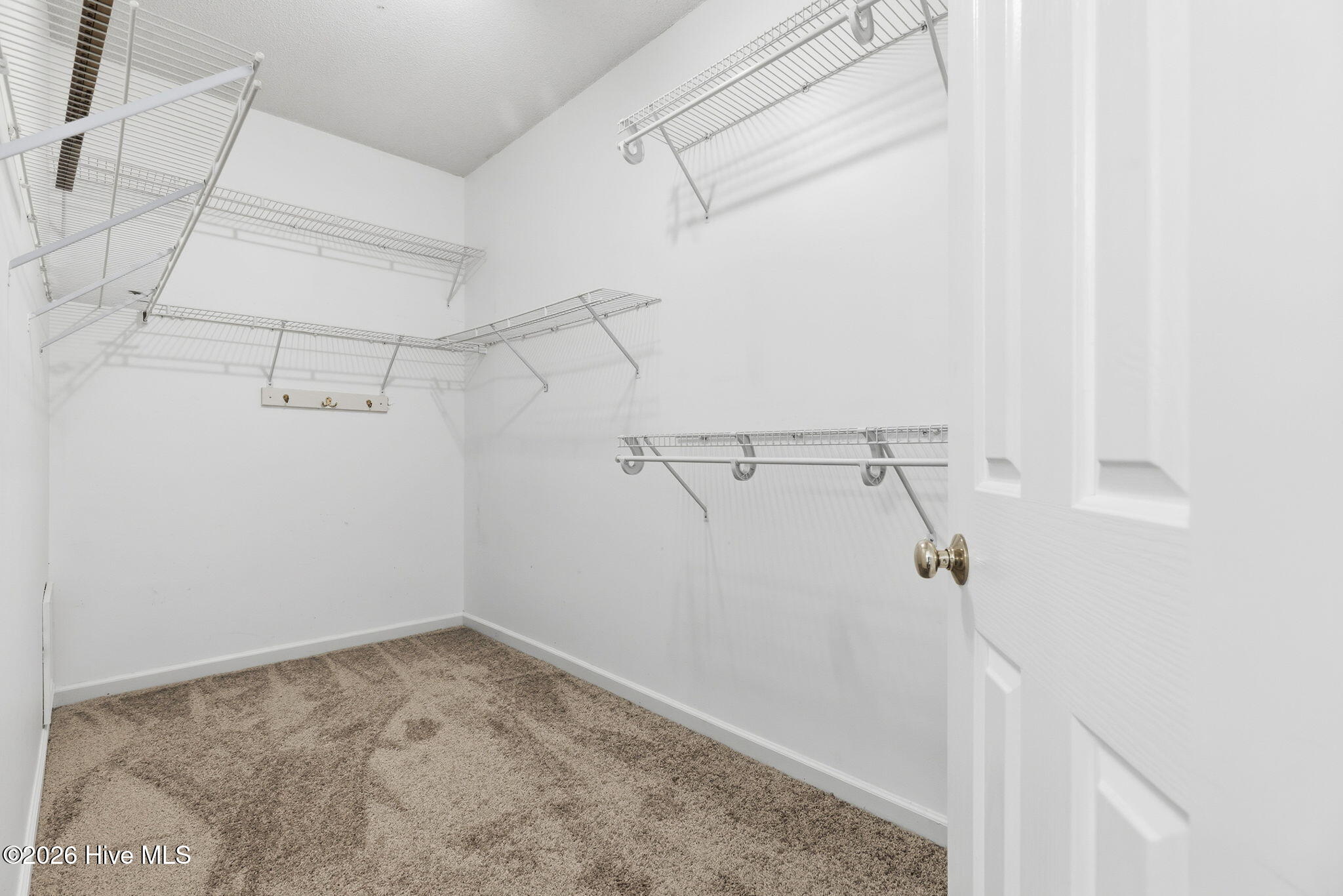 100548117 | Photo 31